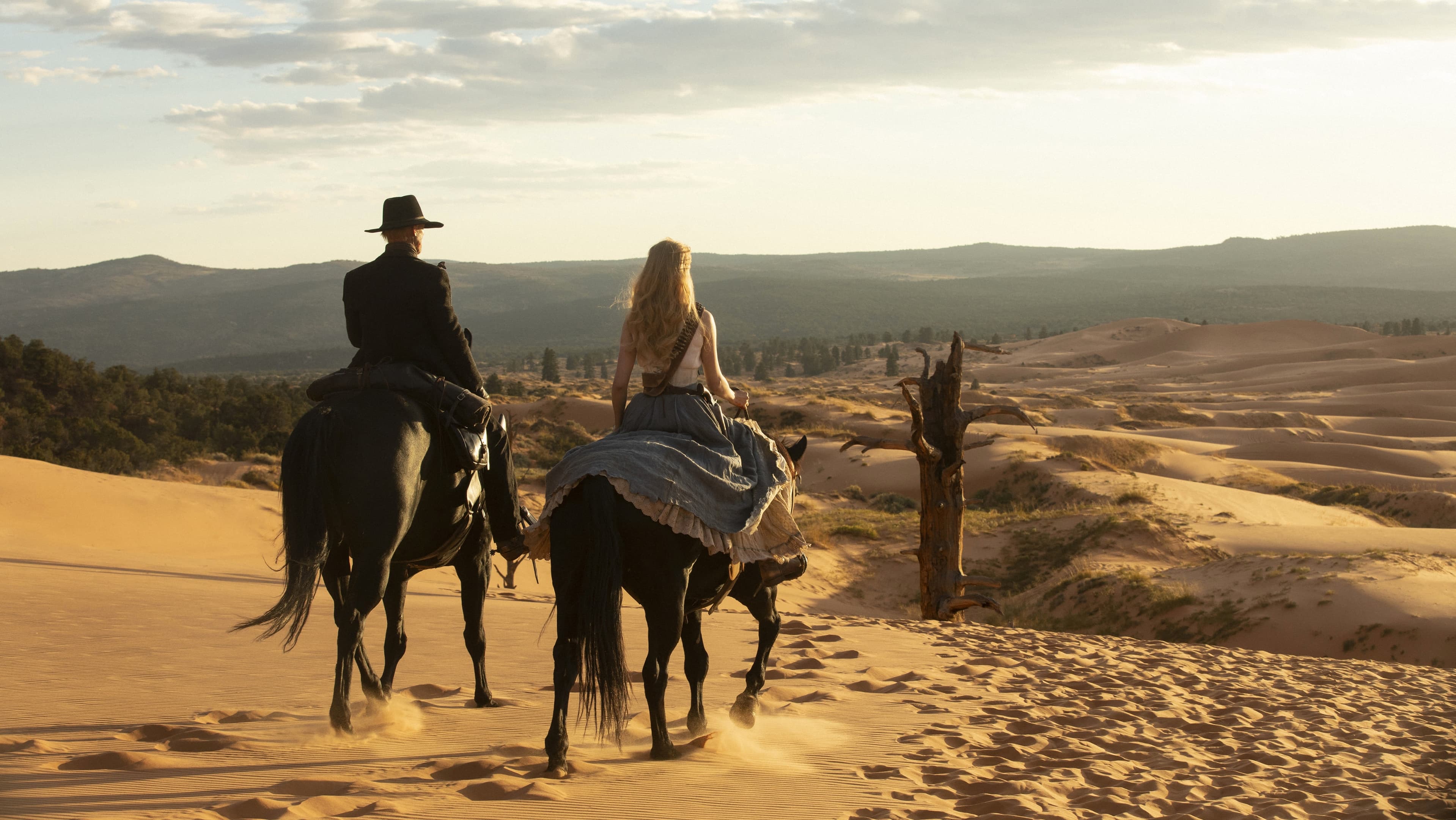 Immagine Poster serie TV 10 Westworld - Dove tutto è concesso