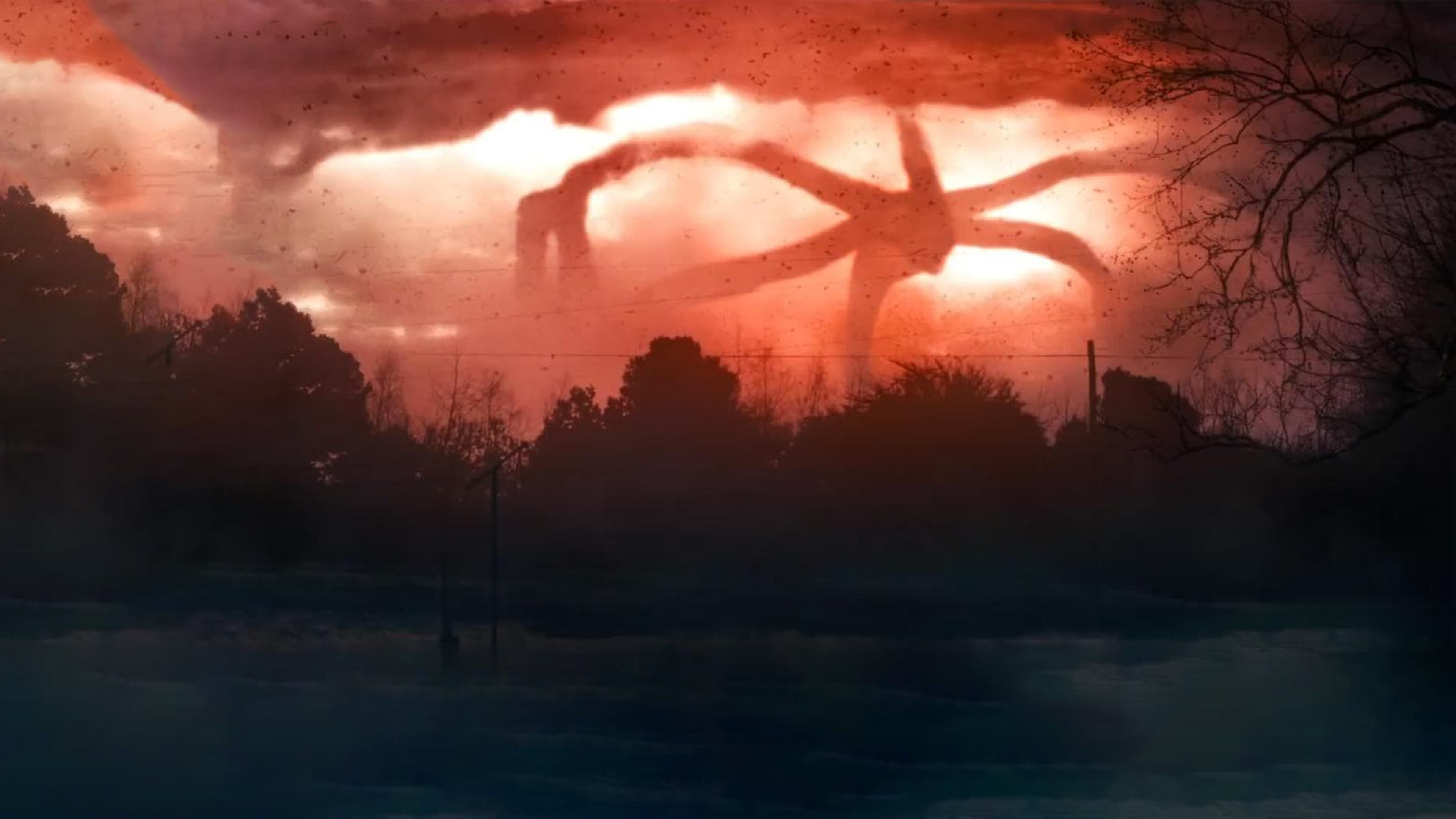 Immagine Poster serie TV 62 Stranger Things