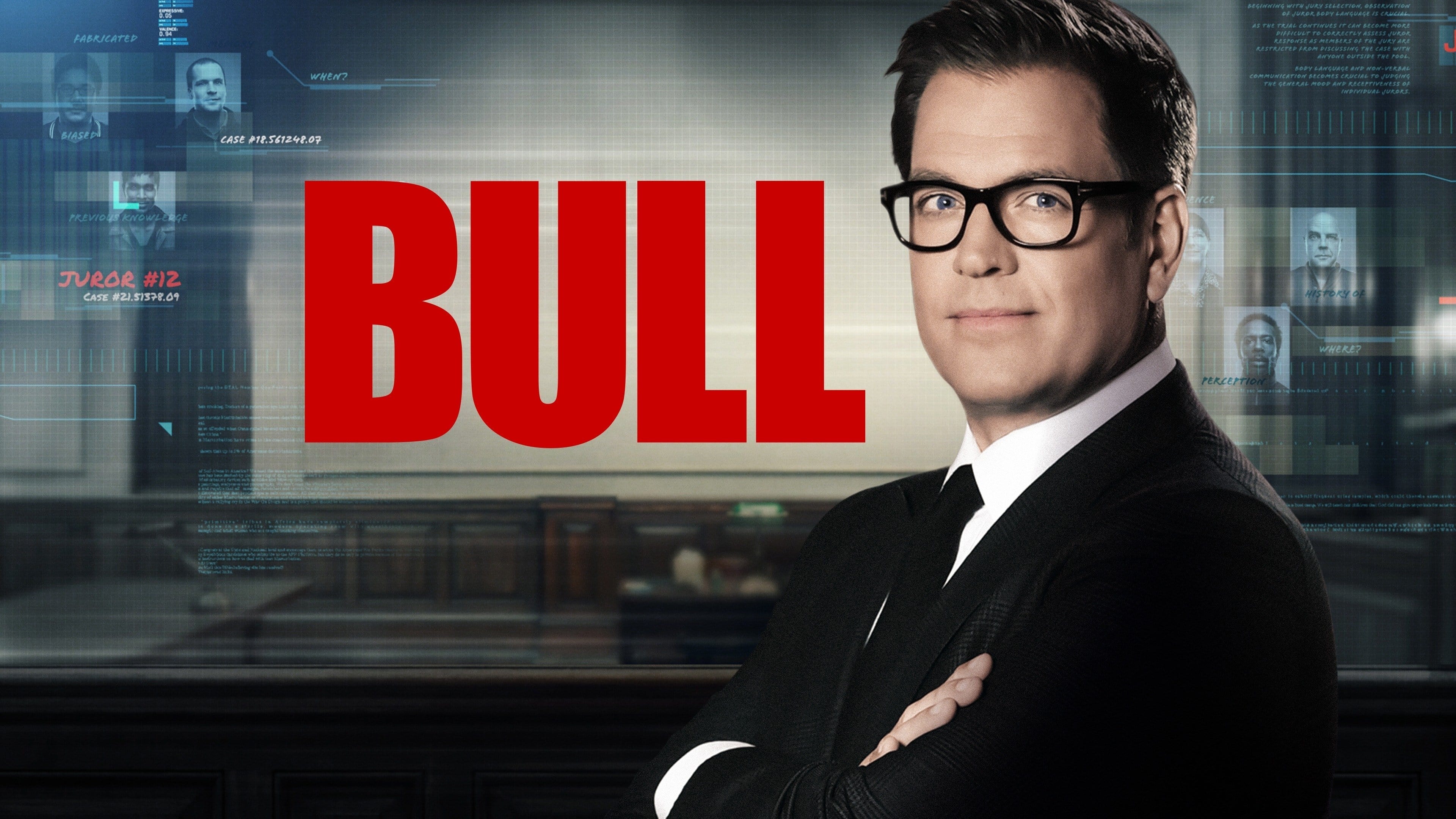 Immagine Poster serie TV 20 Bull