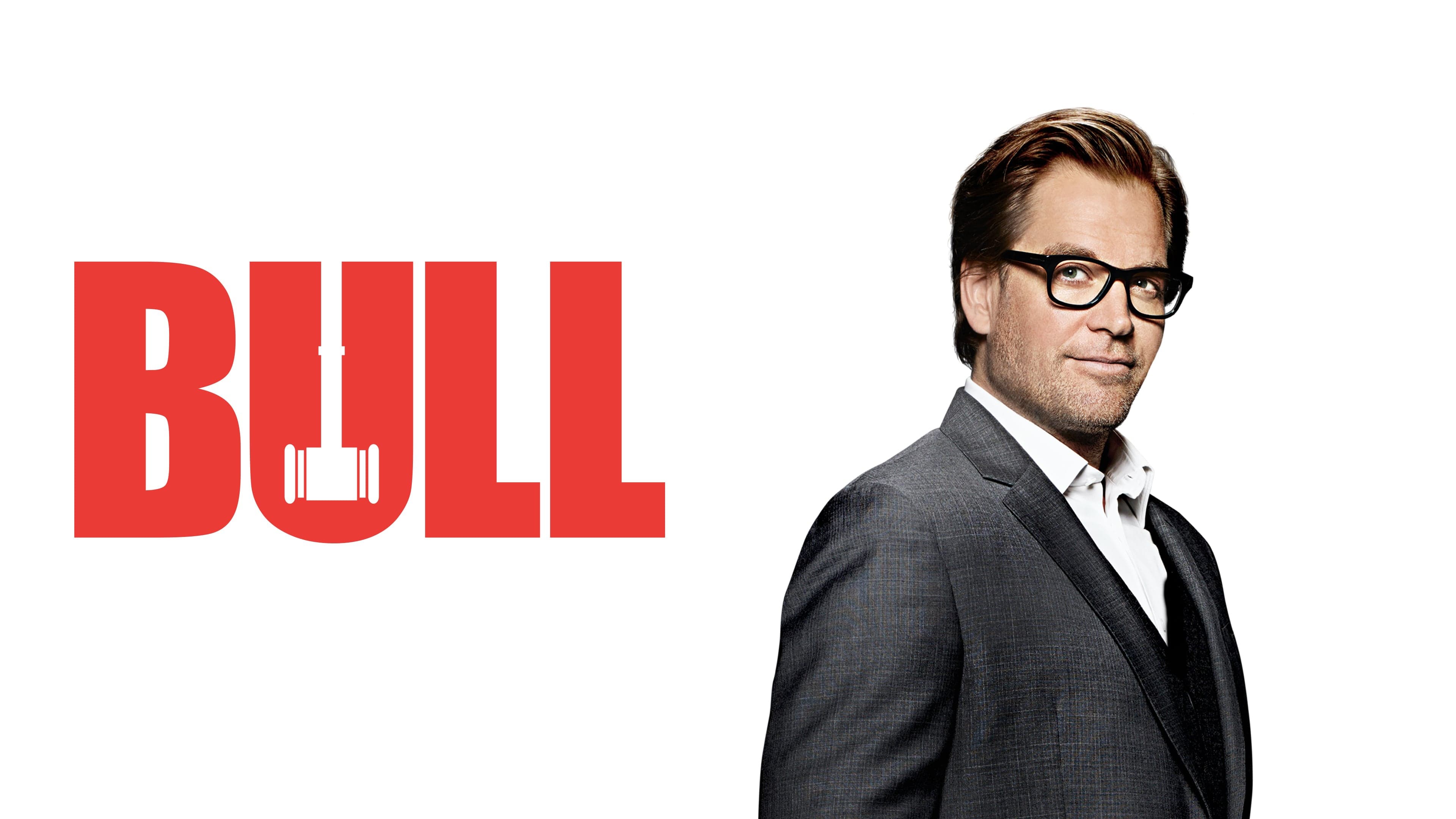 Immagine Poster serie TV 26 Bull