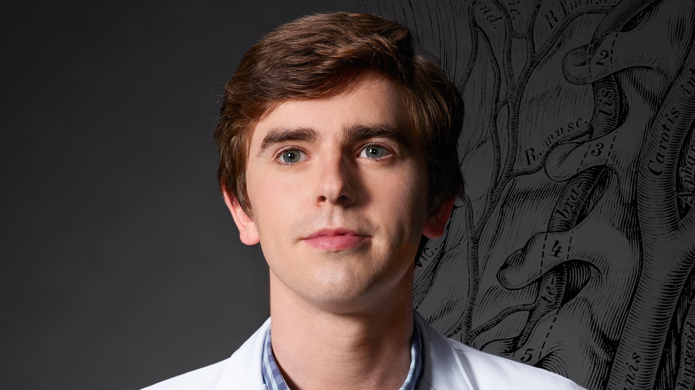 Immagine Poster serie TV 37 The Good Doctor