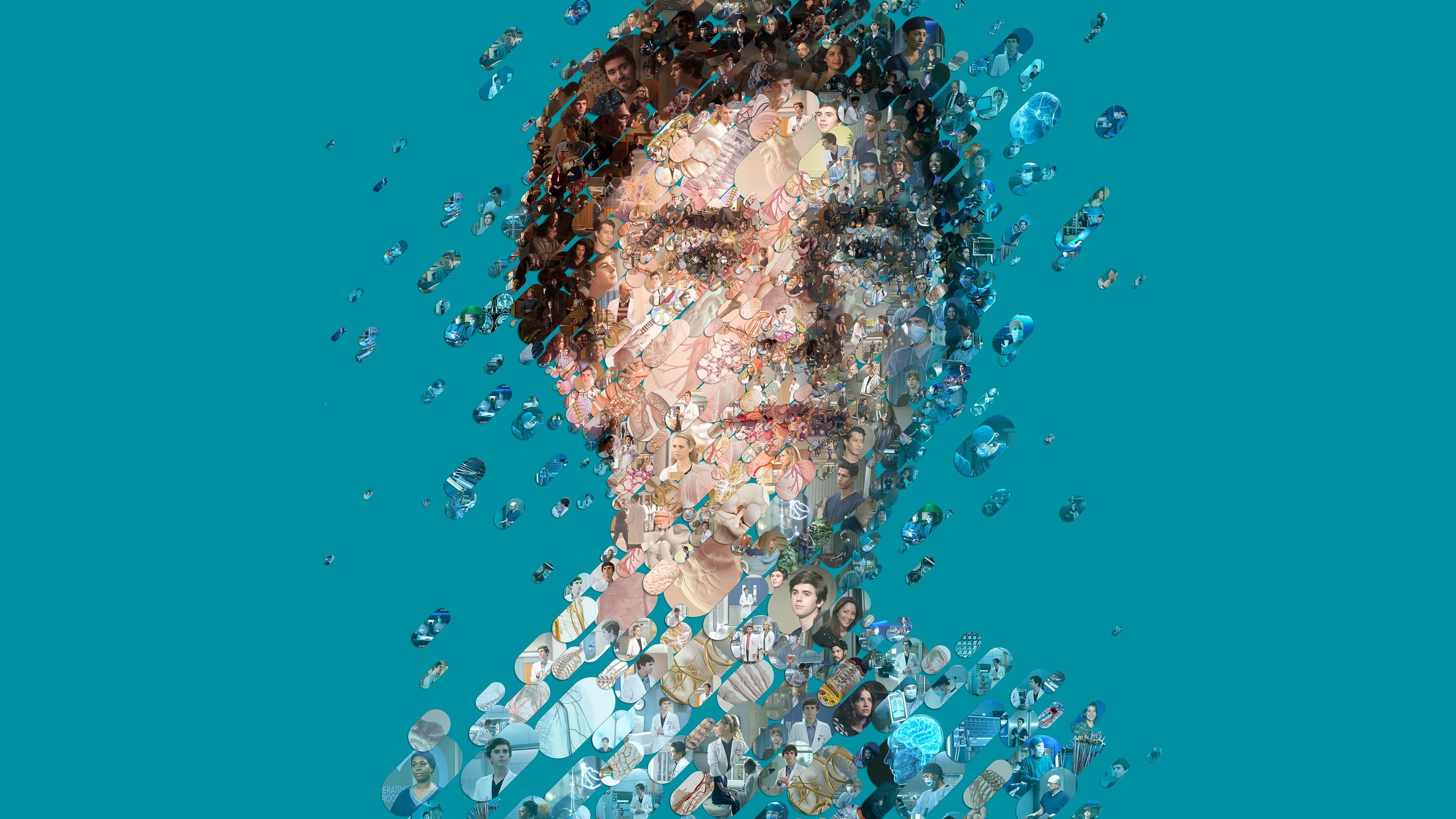 Immagine Poster serie TV 1 The Good Doctor