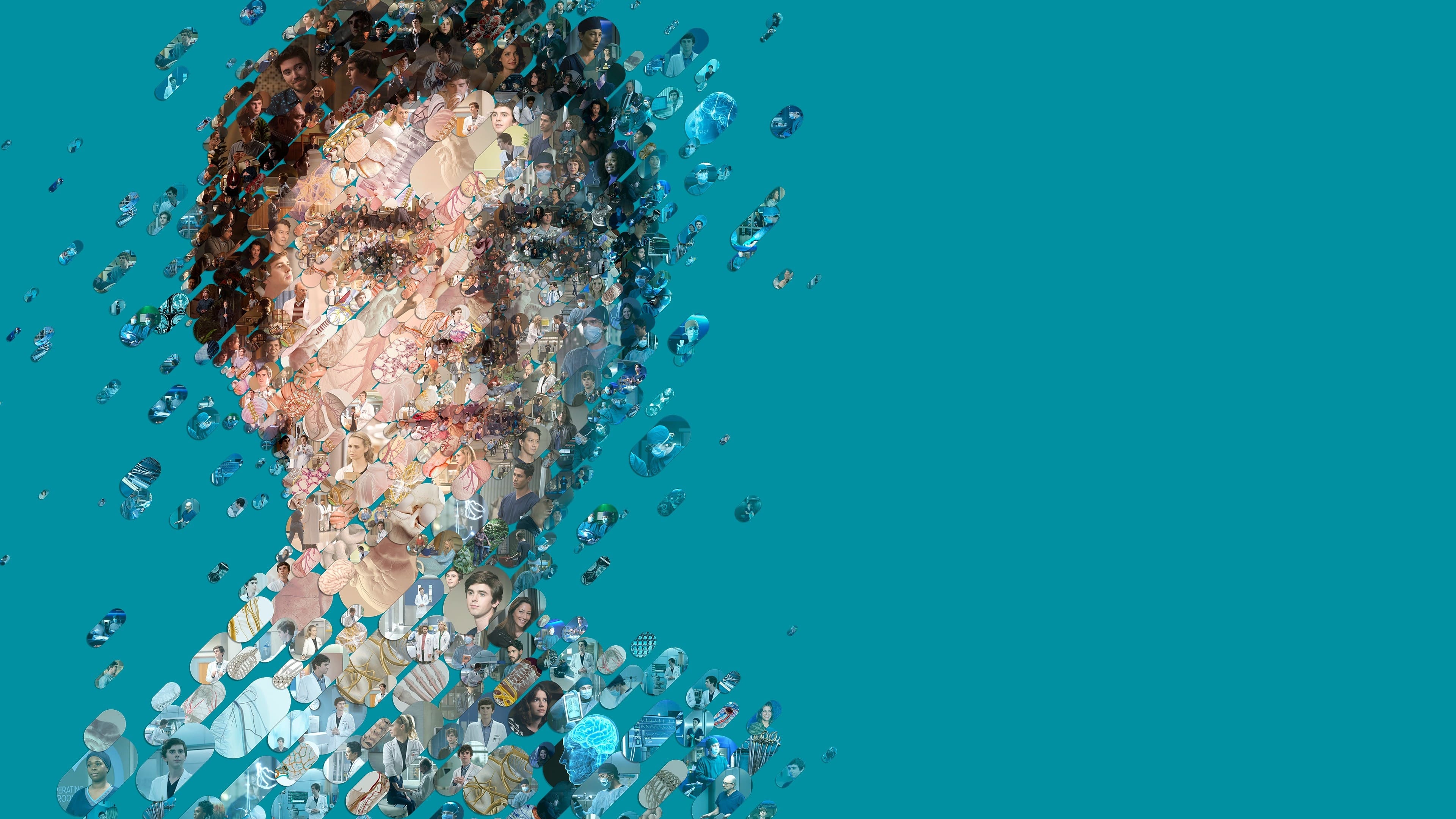 Immagine Poster serie TV 17 The Good Doctor