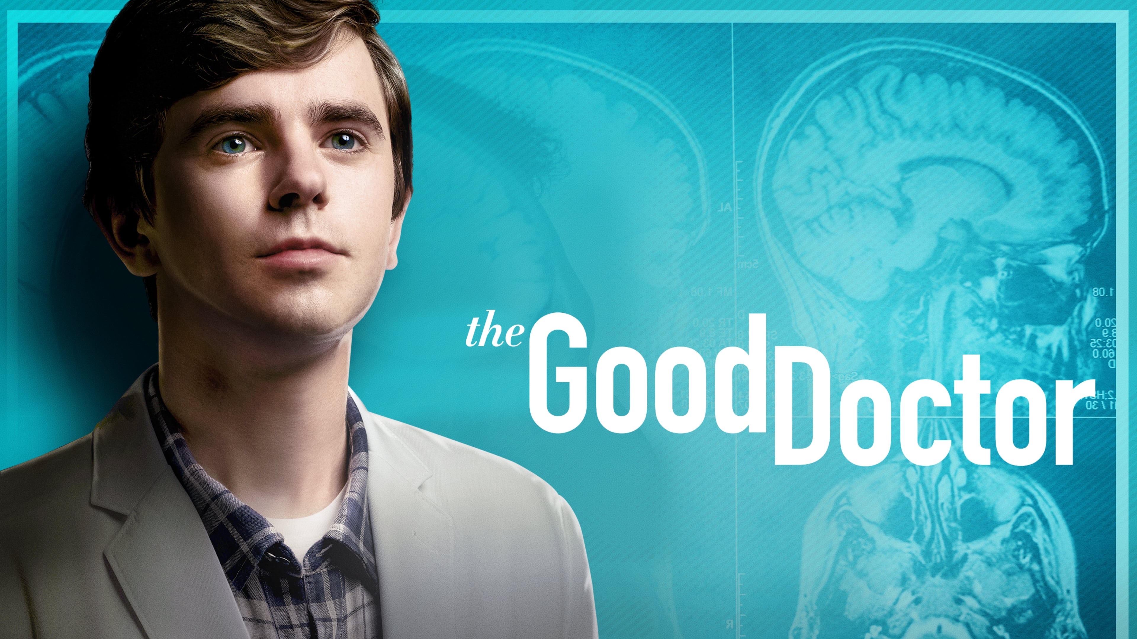 Immagine Poster serie TV 14 The Good Doctor