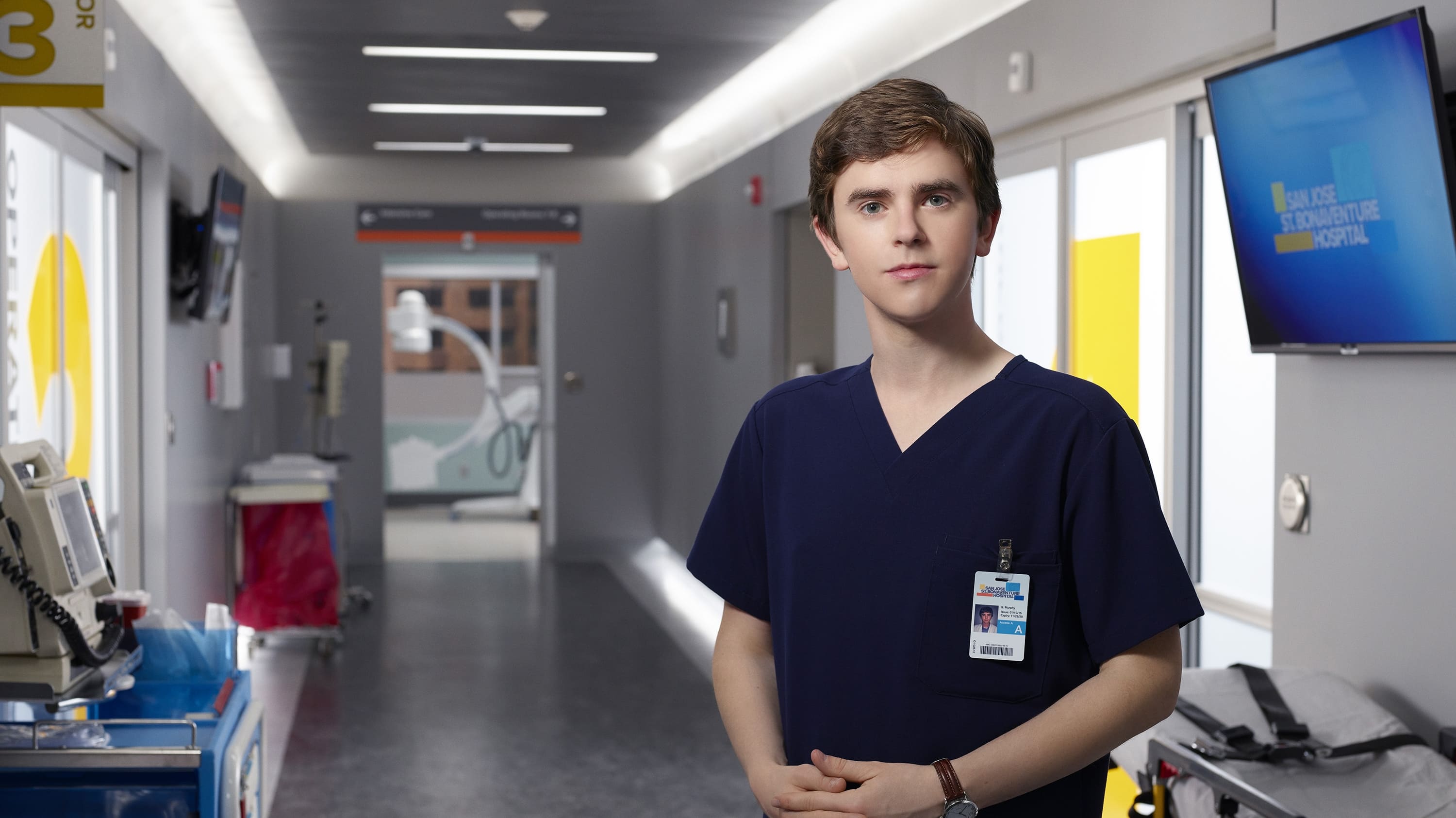 Immagine Poster serie TV 19 The Good Doctor