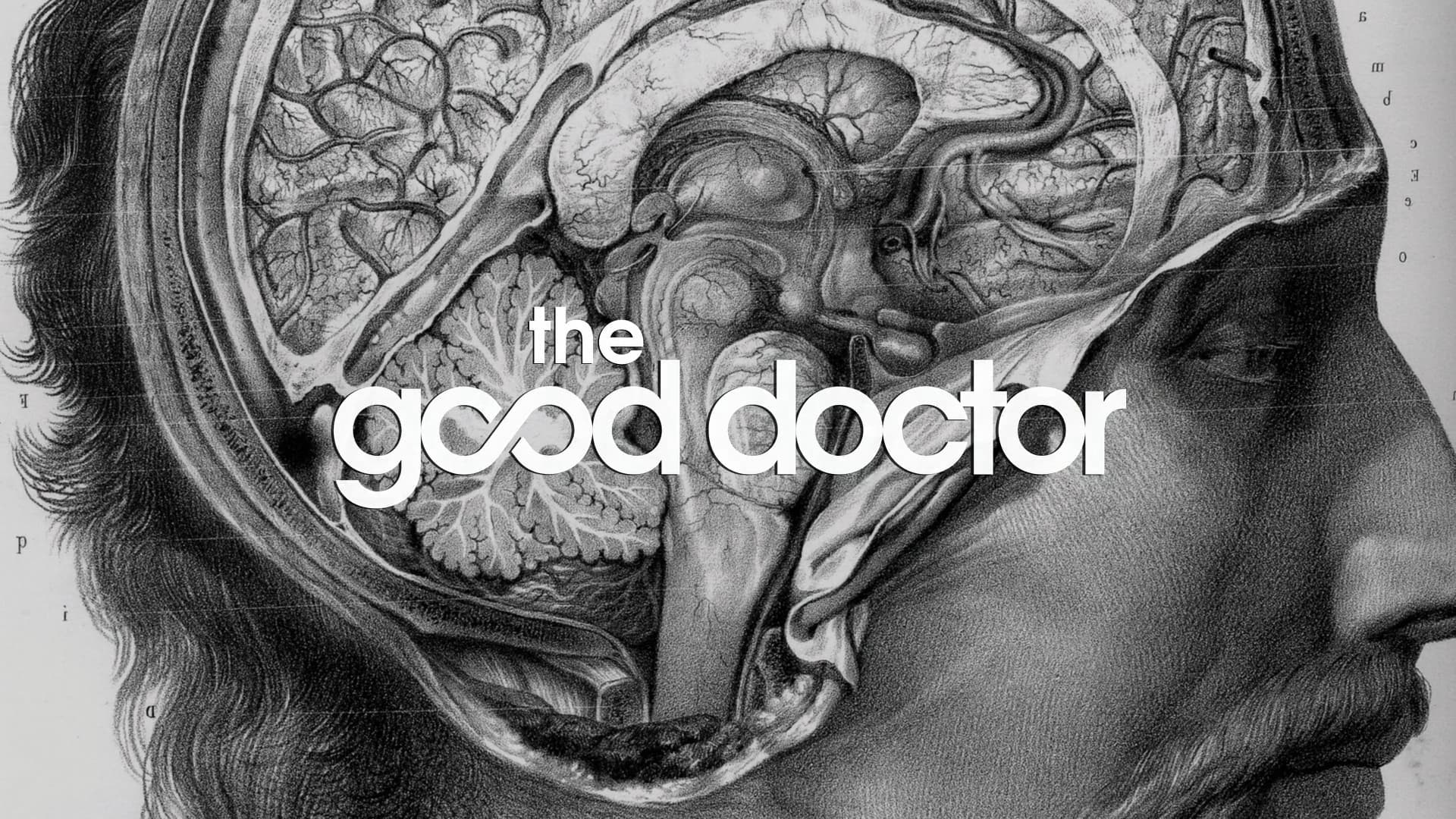 Immagine Poster serie TV 61 The Good Doctor