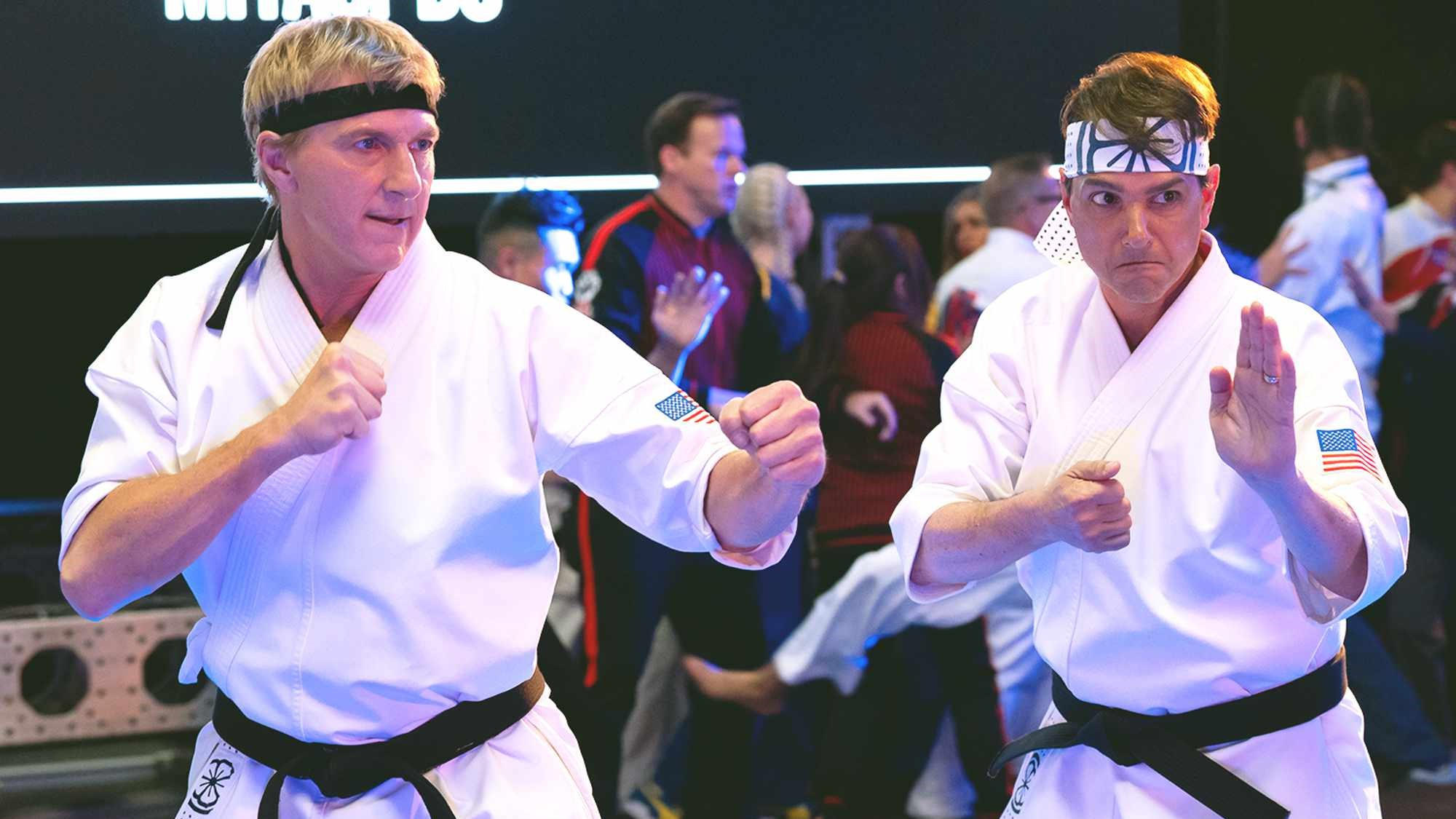 Immagine Poster serie TV 44 Cobra Kai