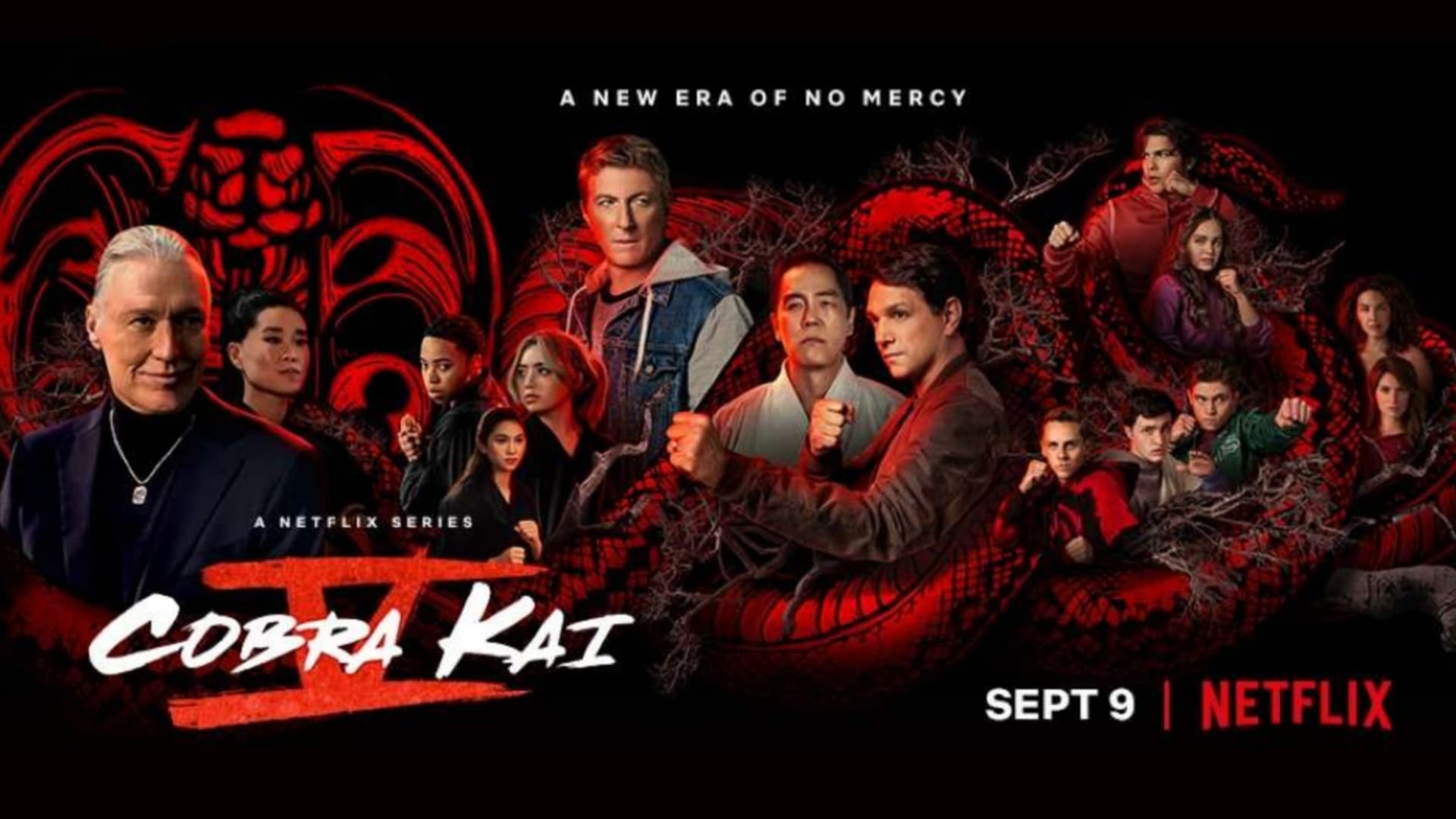 Immagine Poster serie TV 23 Cobra Kai