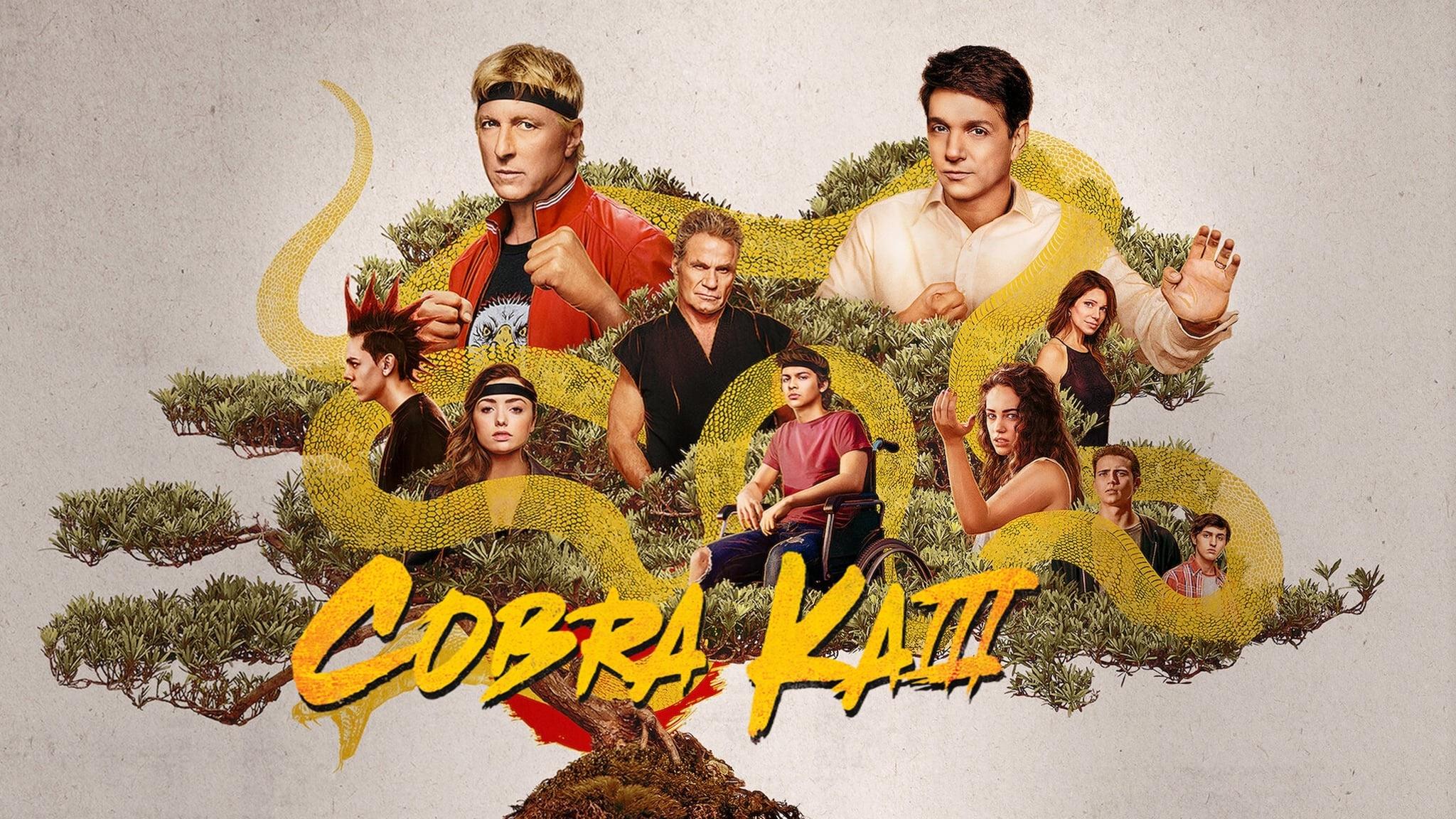 Immagine Poster serie TV 49 Cobra Kai