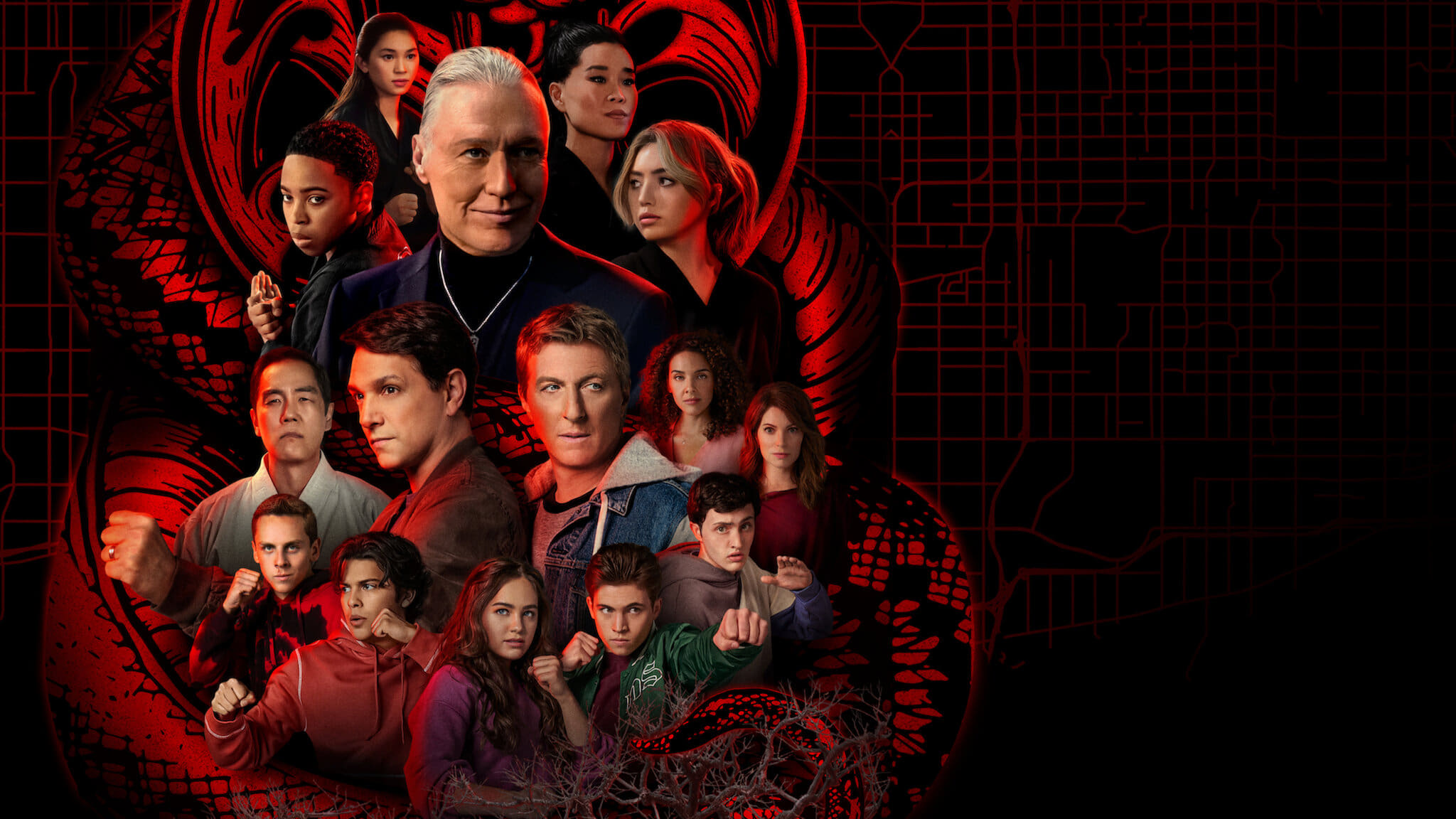 Immagine Poster serie TV 24 Cobra Kai