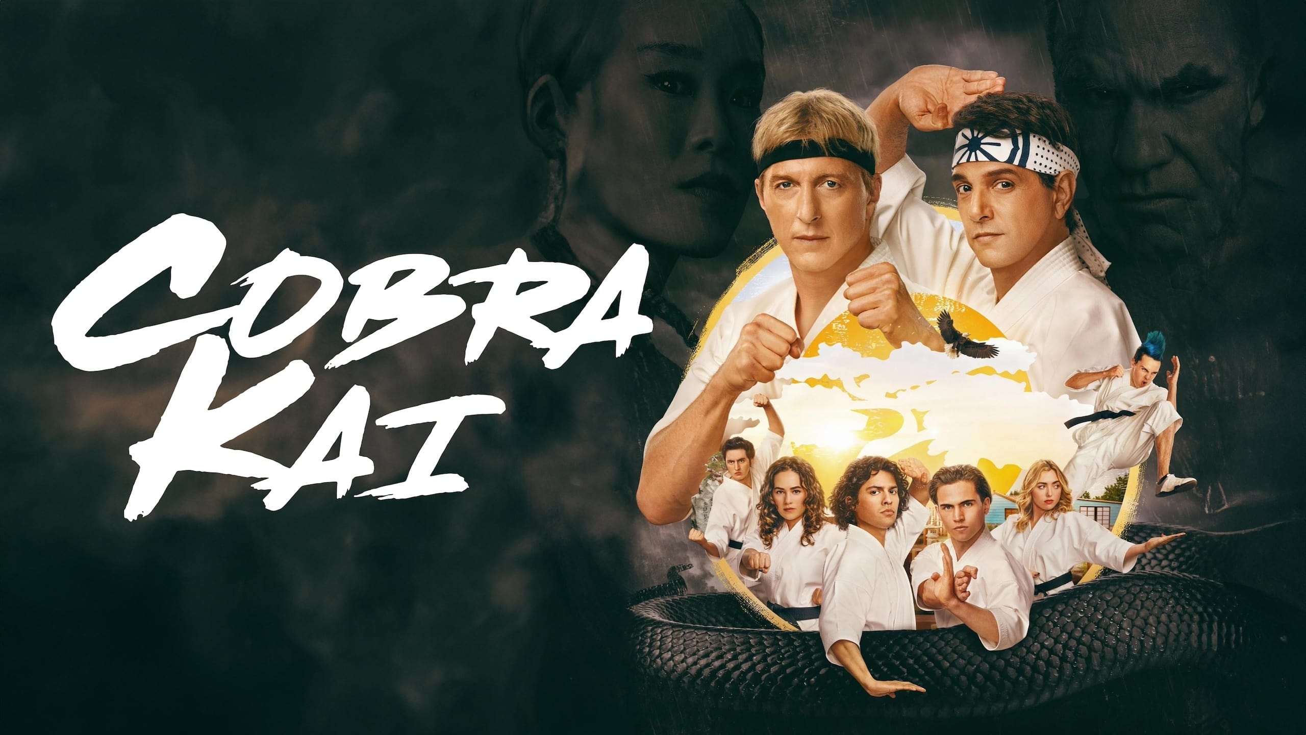 Immagine Poster serie TV 6 Cobra Kai