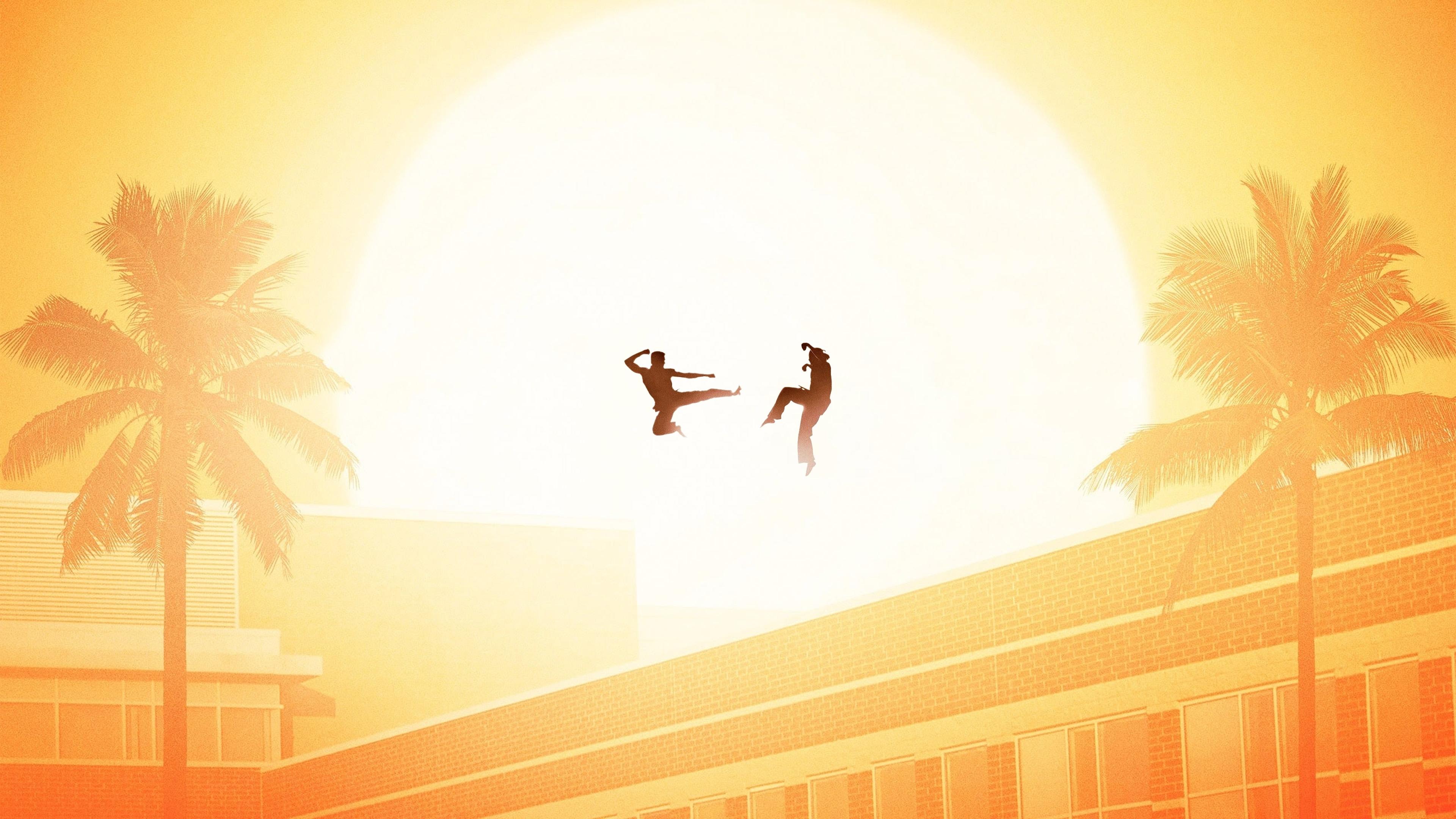 Immagine Poster serie TV 41 Cobra Kai