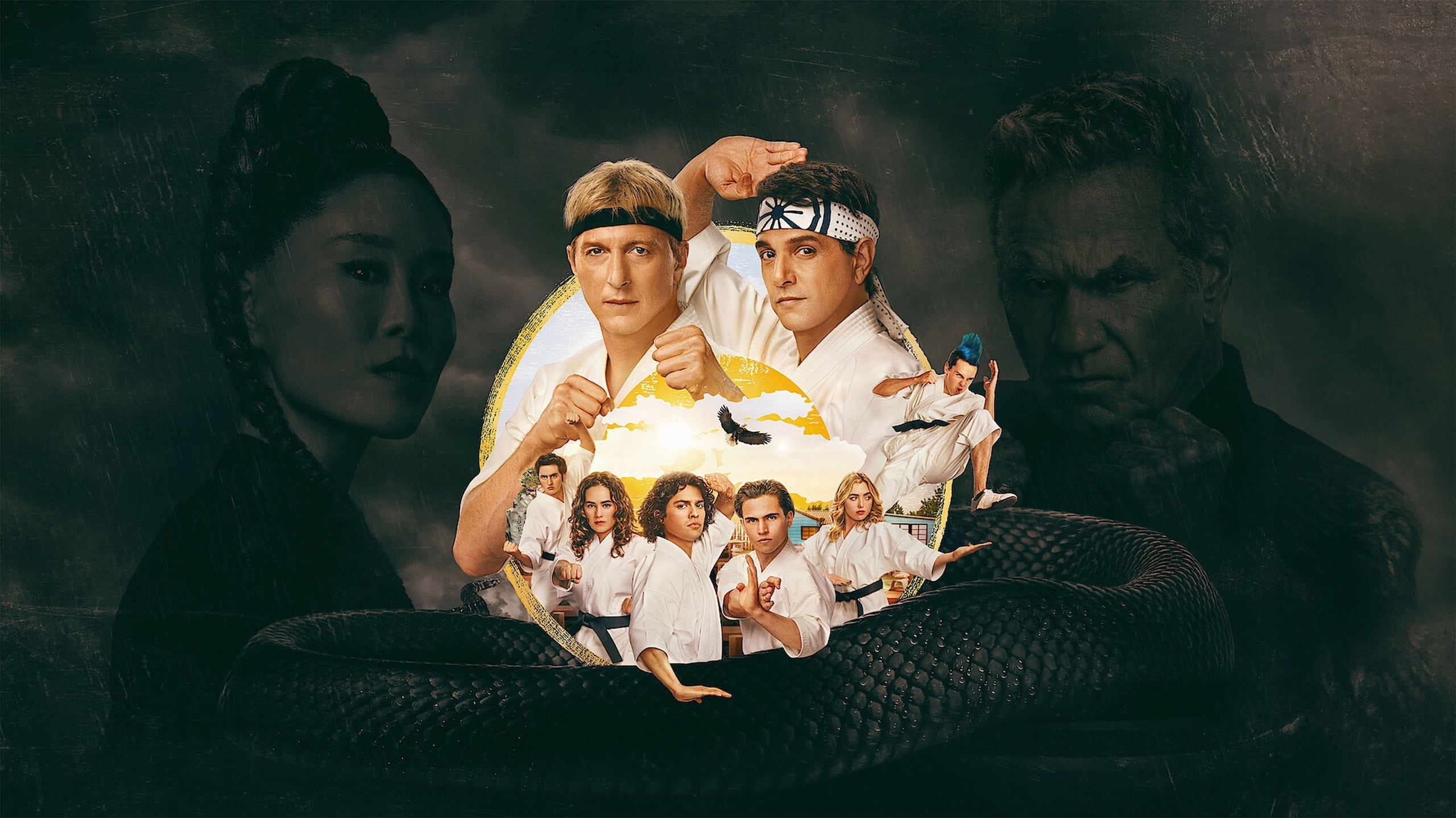 Immagine Poster serie TV 9 Cobra Kai