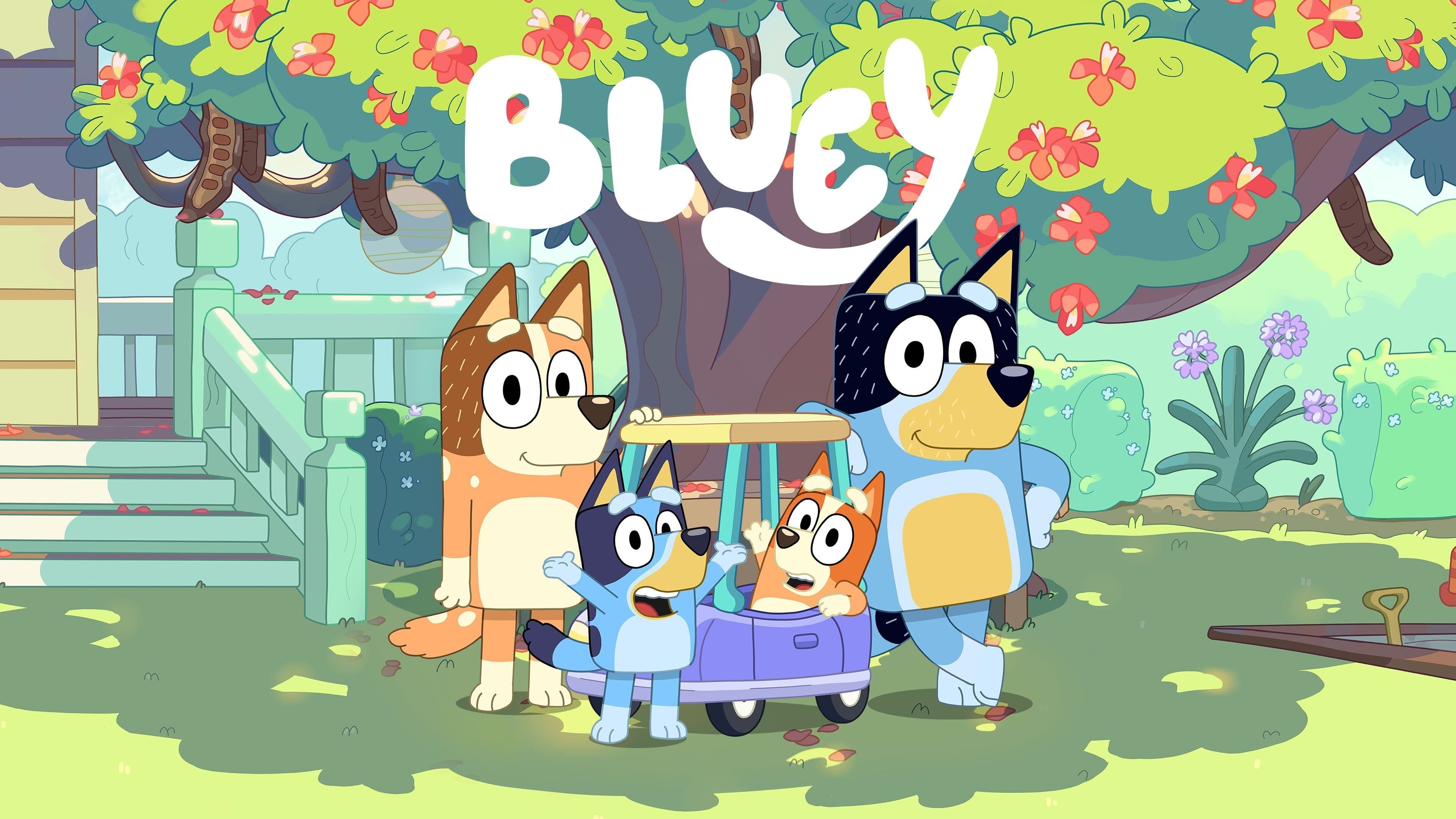 Immagine Poster serie TV 2 Bluey