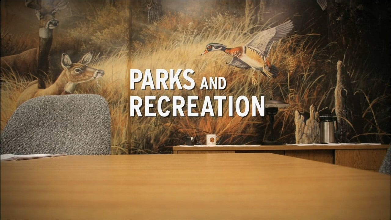 Immagine Poster serie TV 30 Parks and Recreation
