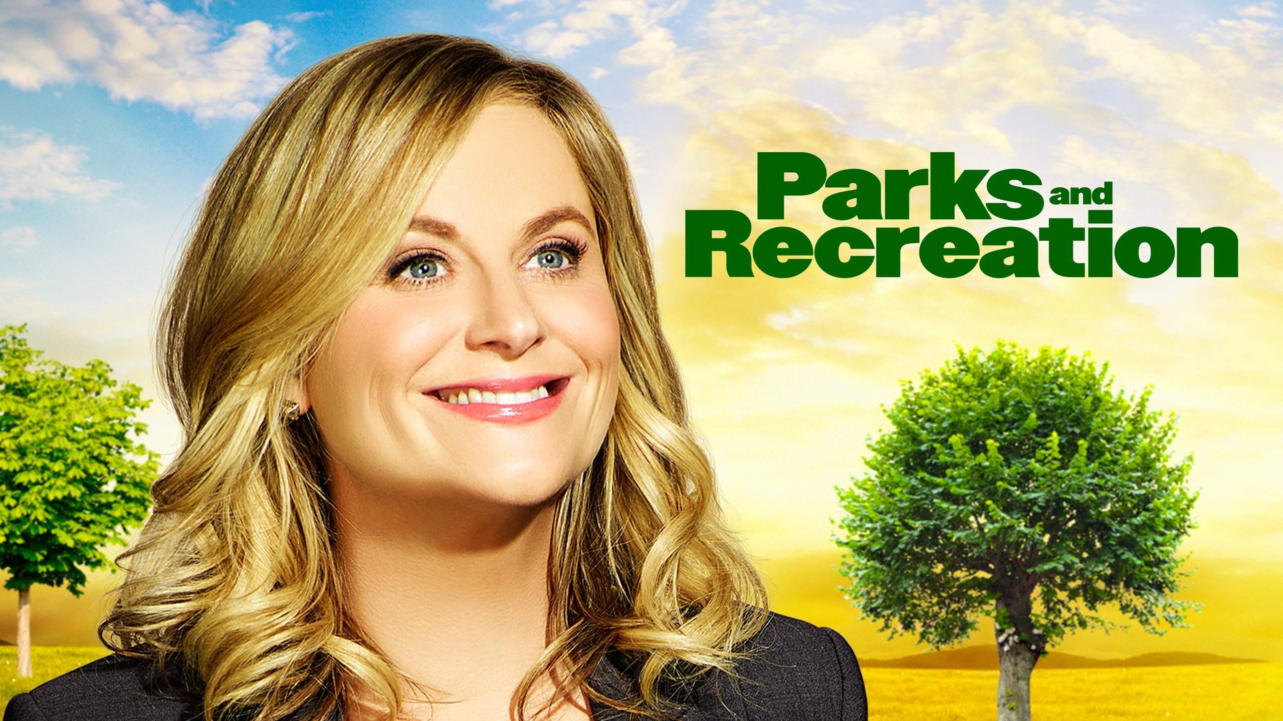 Immagine Poster serie TV 4 Parks and Recreation