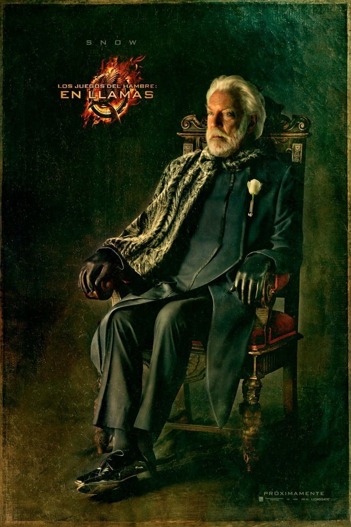 Immagine Hunger Games: La ragazza di fuoco - Poster - Sfondi