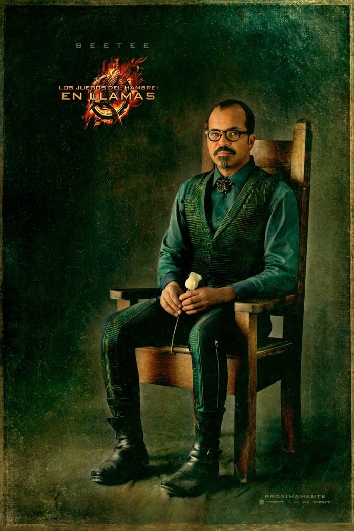 Immagine Hunger Games: La ragazza di fuoco - Poster - Sfondi
