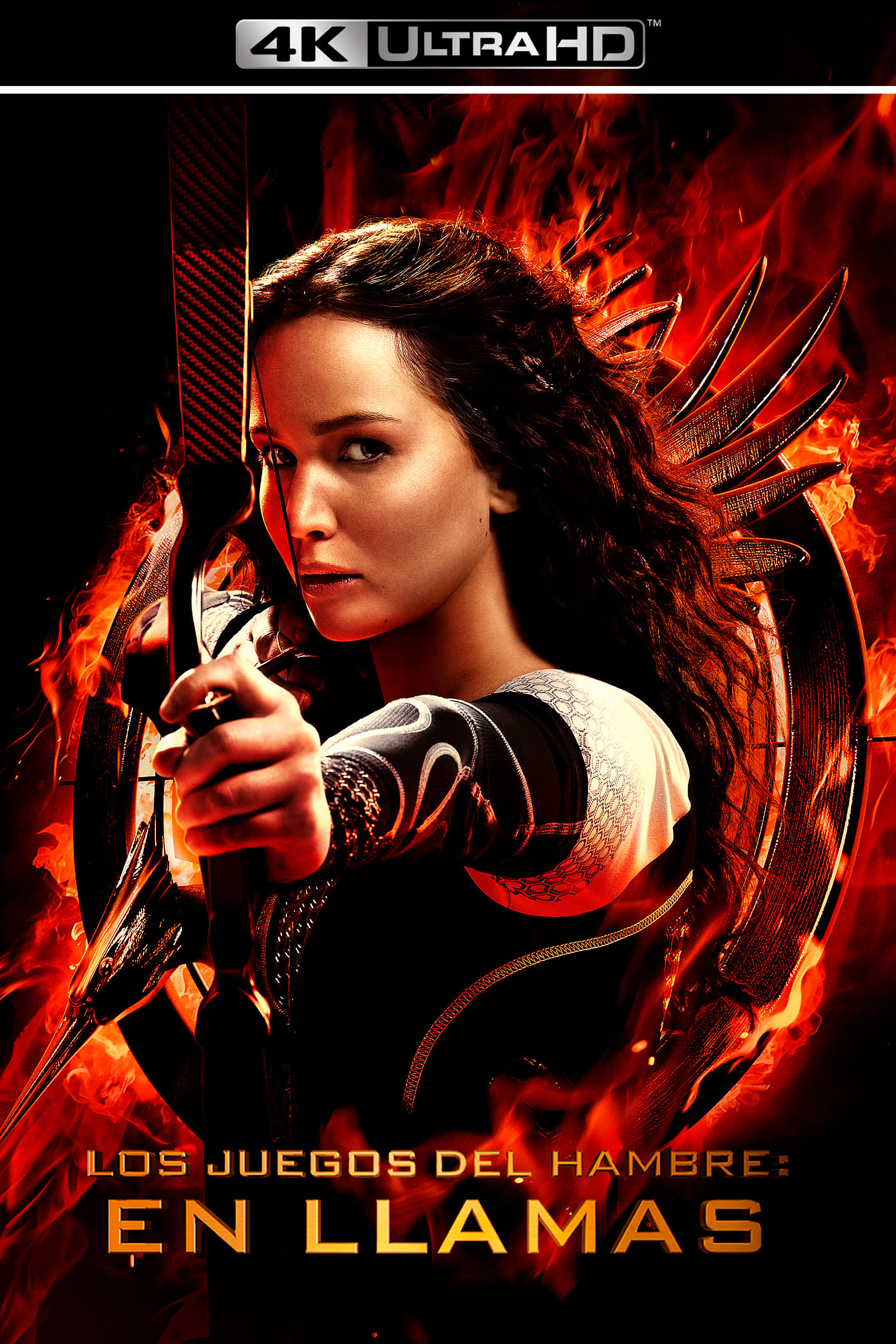 Immagine Hunger Games: La ragazza di fuoco - Poster - Sfondi