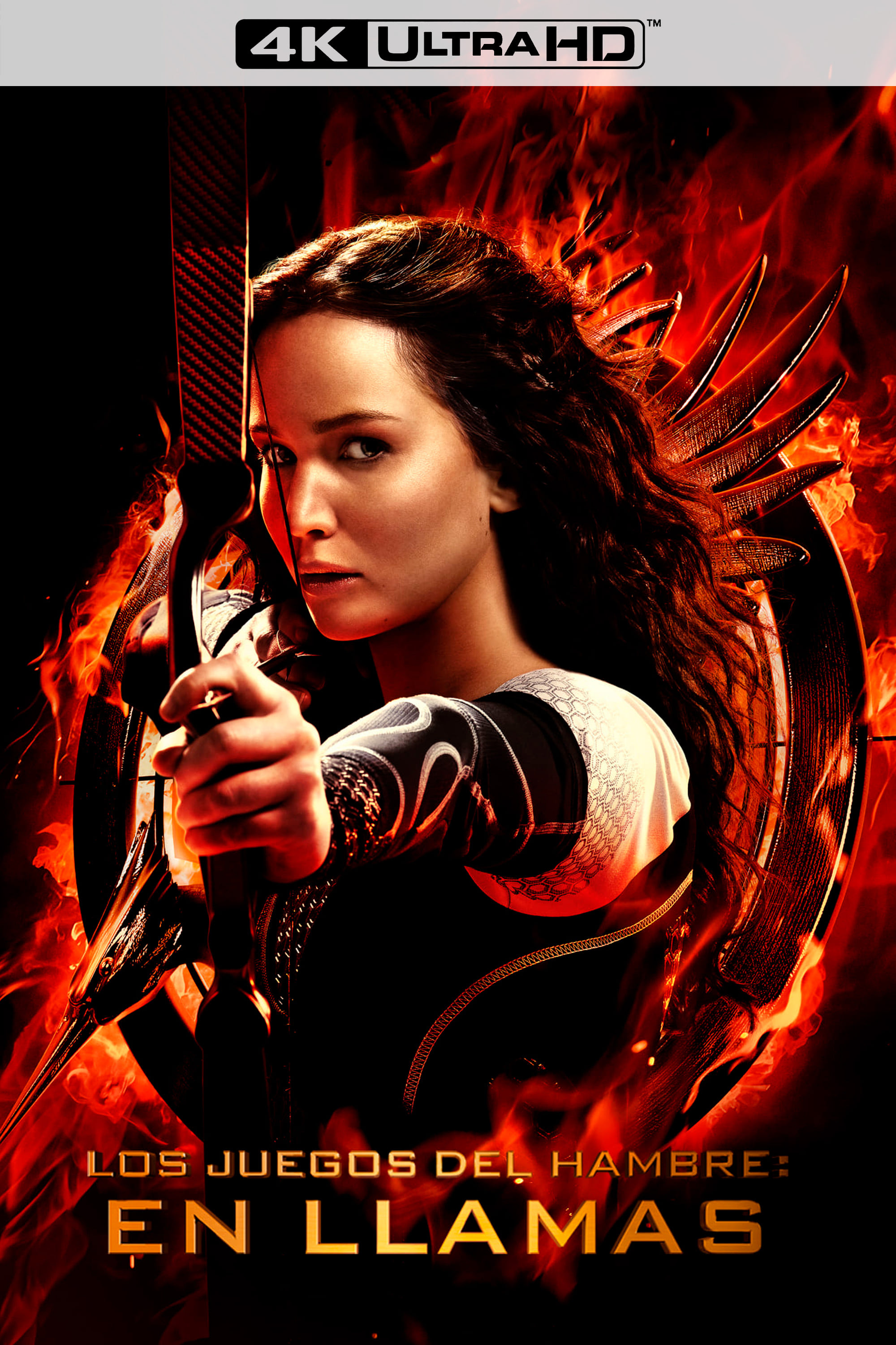 Immagine Hunger Games: La ragazza di fuoco - Poster - Sfondi