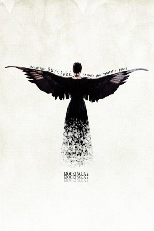 Immagine Hunger Games: La ragazza di fuoco - Poster - Sfondi