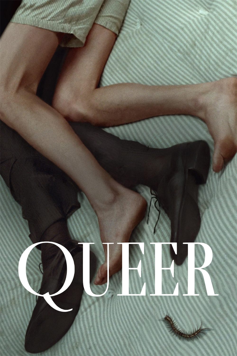 Immagine Queer - Poster - Sfondi