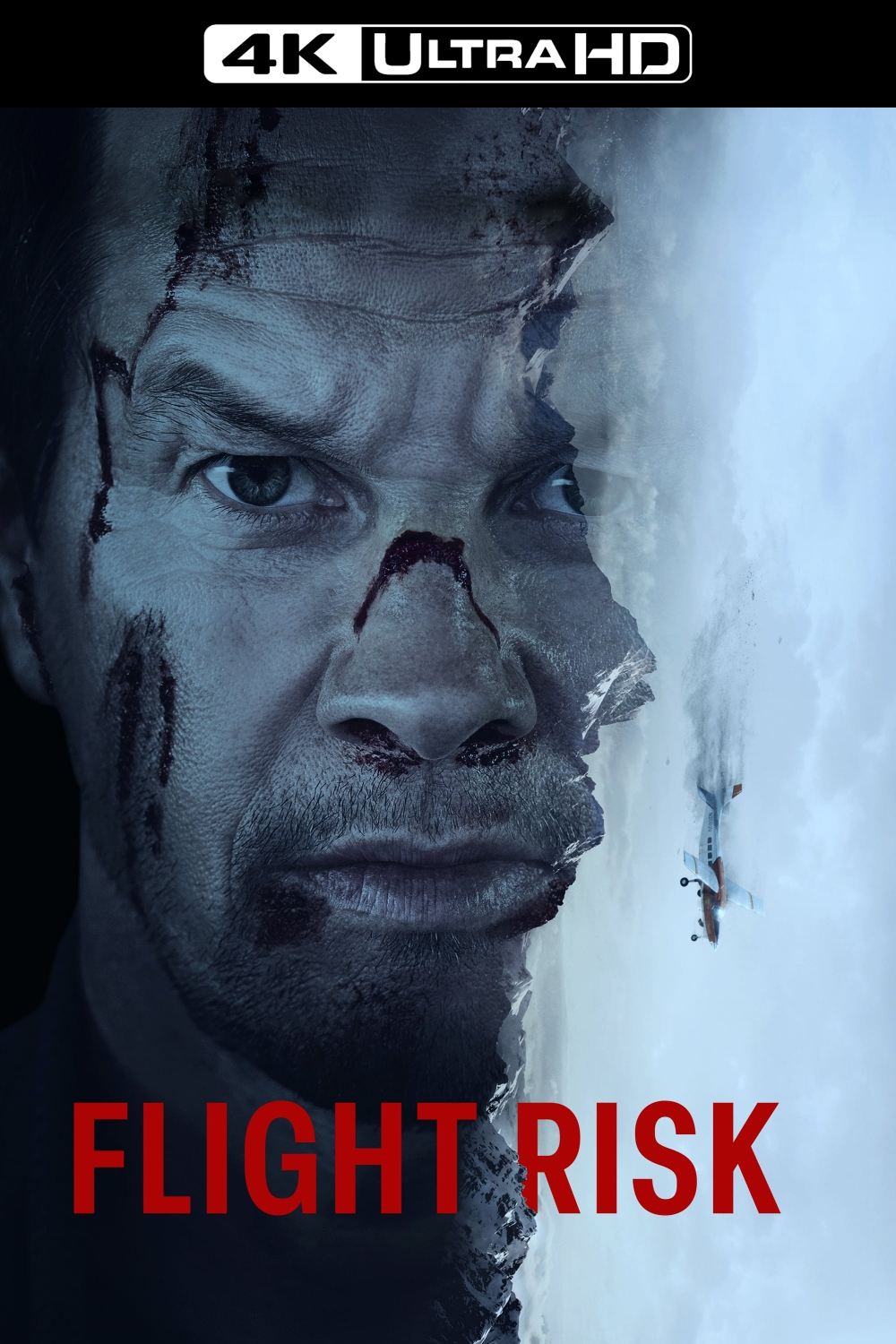 Immagine Flight Risk - Trappola ad alta quota - Poster - Sfondi