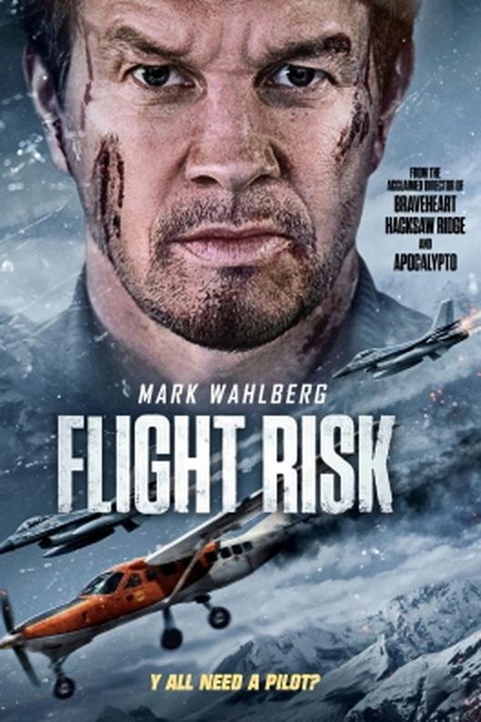 Immagine Flight Risk - Trappola ad alta quota - Poster - Sfondi