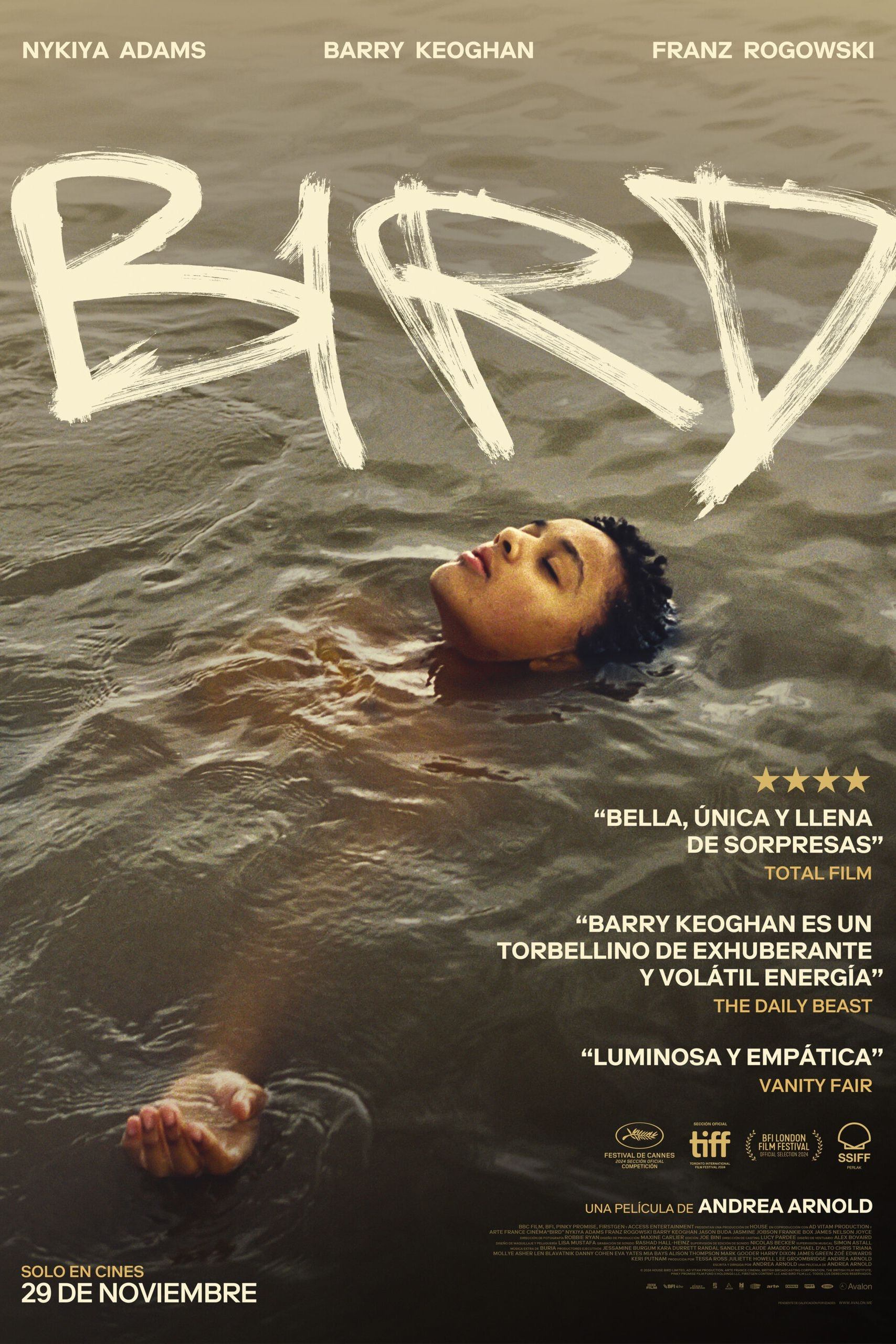 Immagine Bird - Poster - Sfondi
