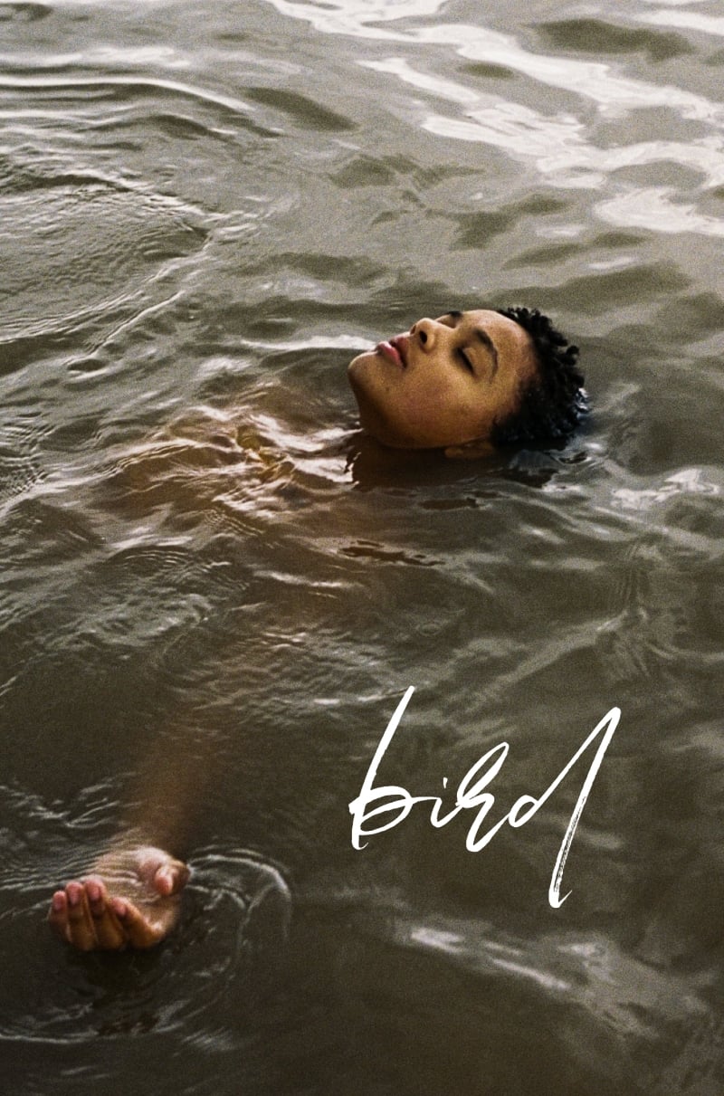 Immagine Bird - Poster - Sfondi