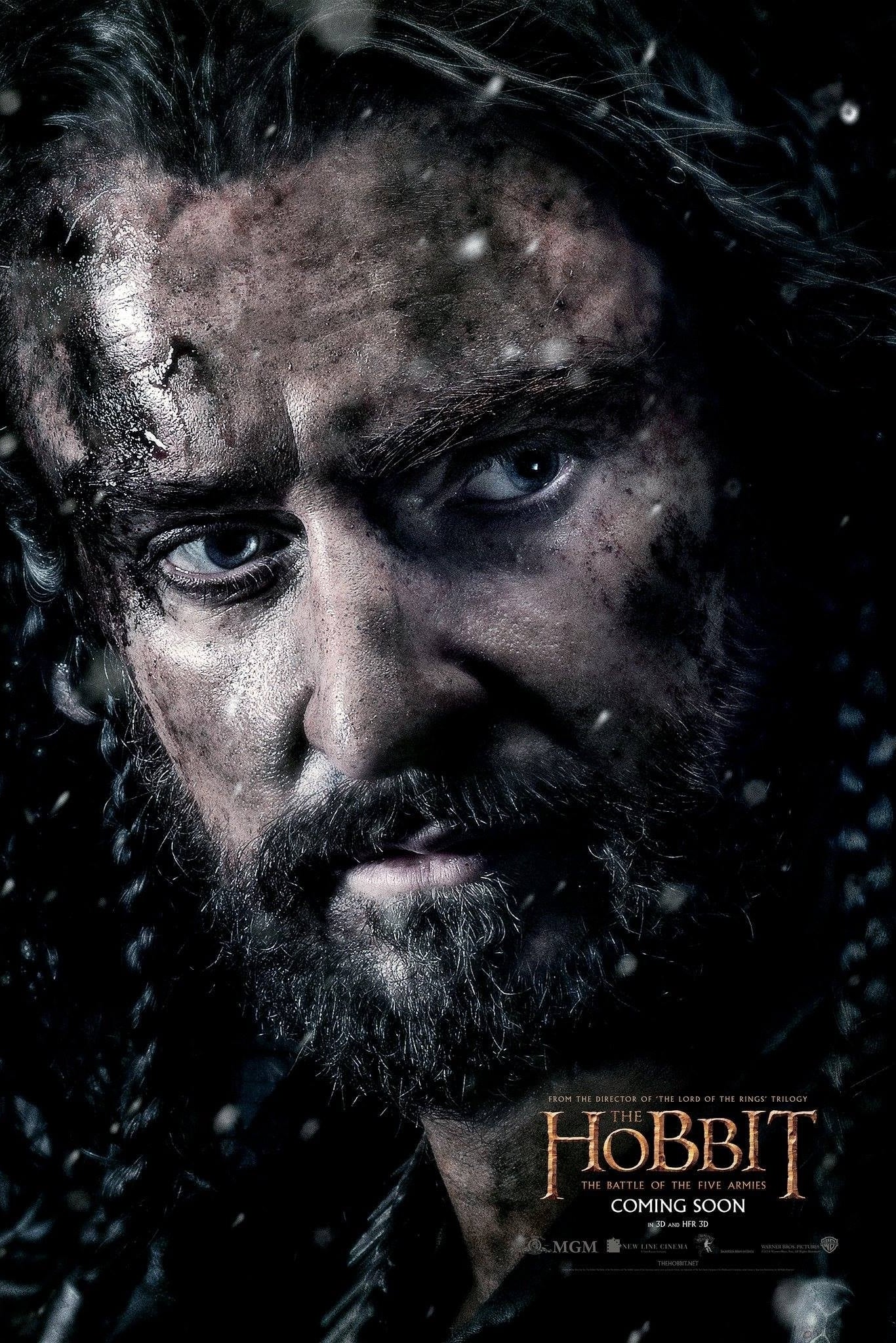Immagine Lo Hobbit: La battaglia delle cinque armate - Poster - Sfondi