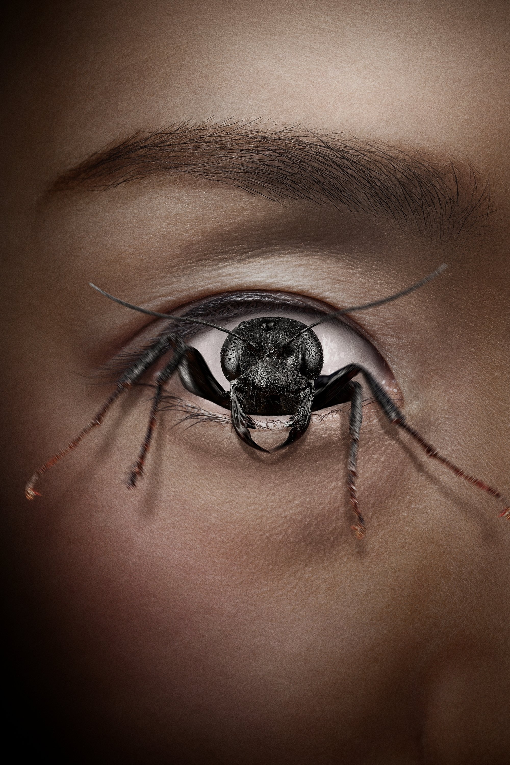 Immagine Control Freak - Poster - Sfondi