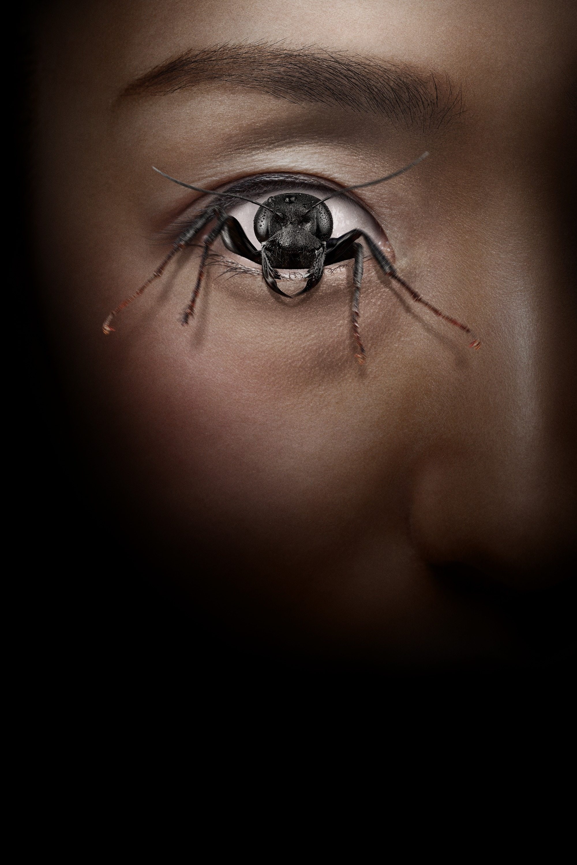 Immagine Control Freak - Poster - Sfondi
