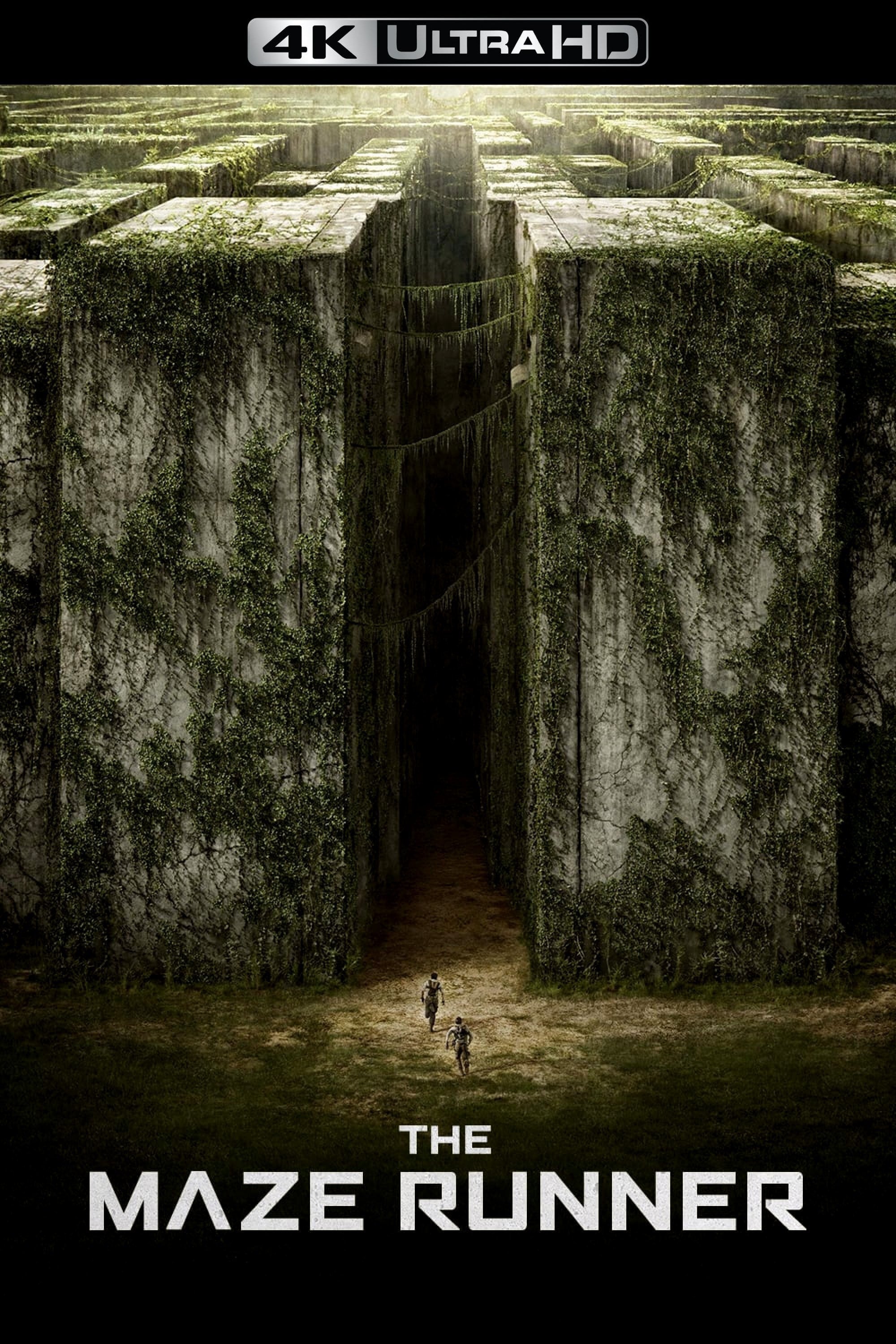 Immagine Maze Runner - Il labirinto - Poster - Sfondi