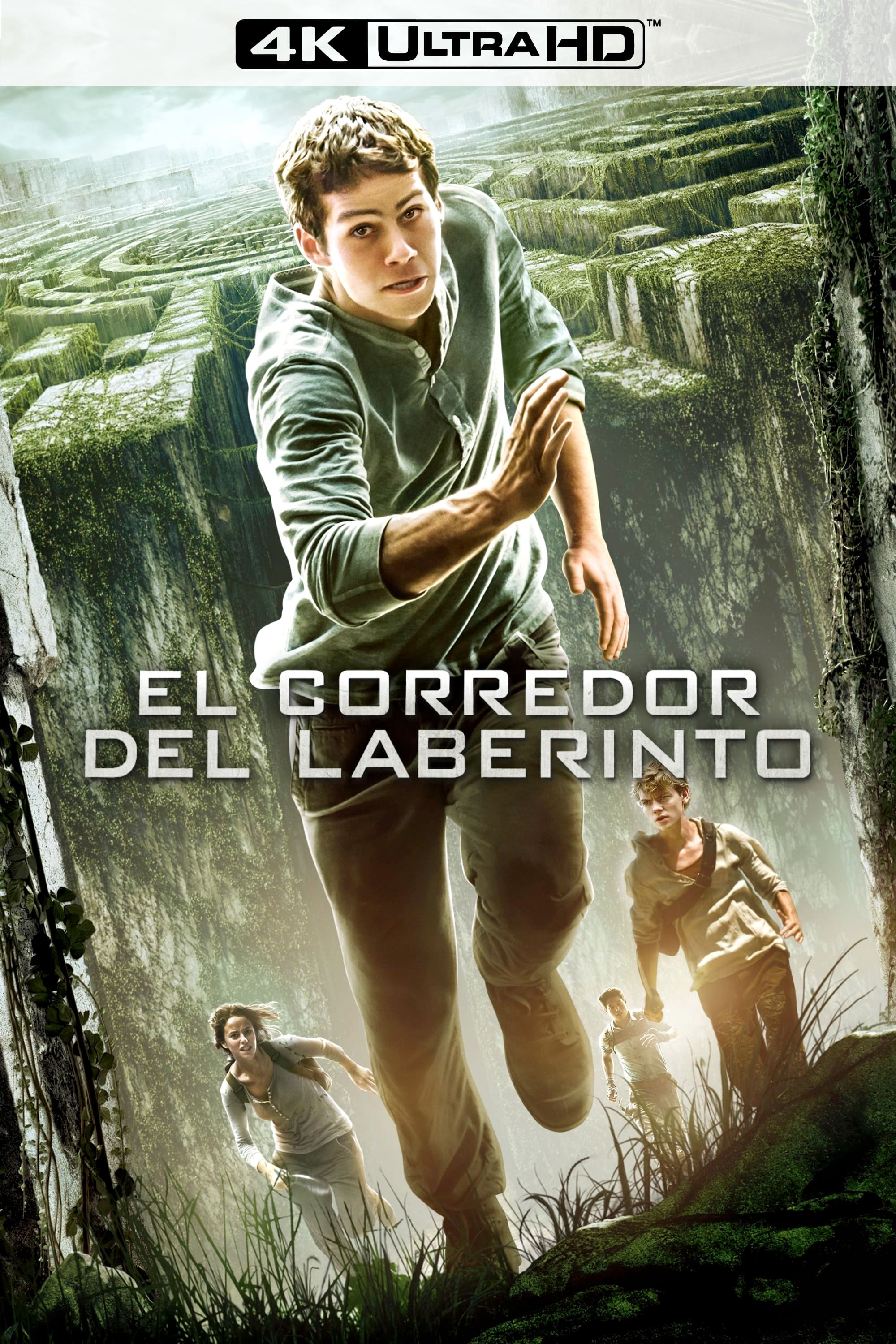 Immagine Maze Runner - Il labirinto - Poster - Sfondi