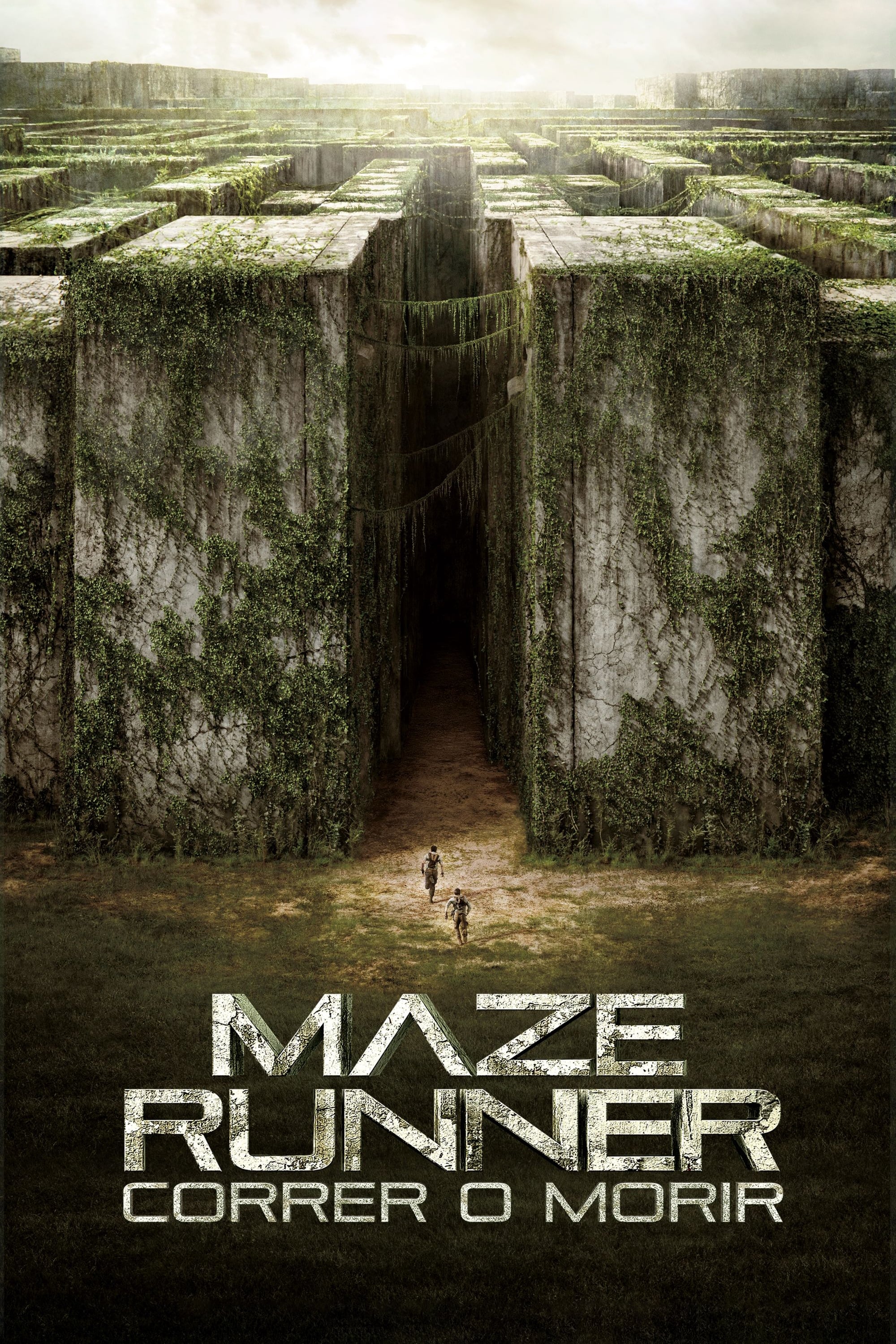 Immagine Maze Runner - Il labirinto - Poster - Sfondi