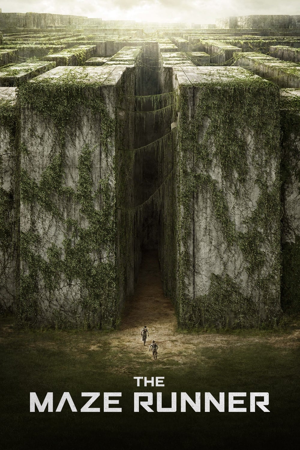 Immagine Maze Runner - Il labirinto - Poster - Sfondi