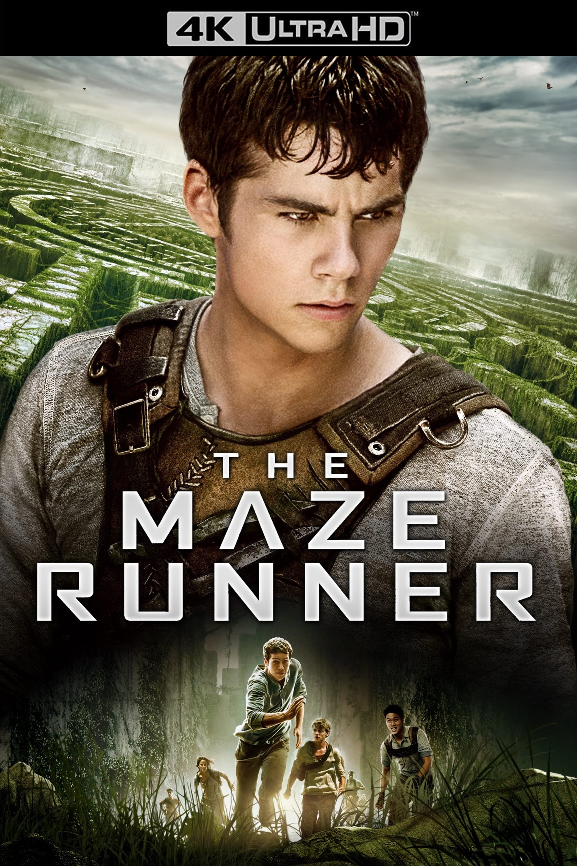 Immagine Maze Runner - Il labirinto - Poster - Sfondi