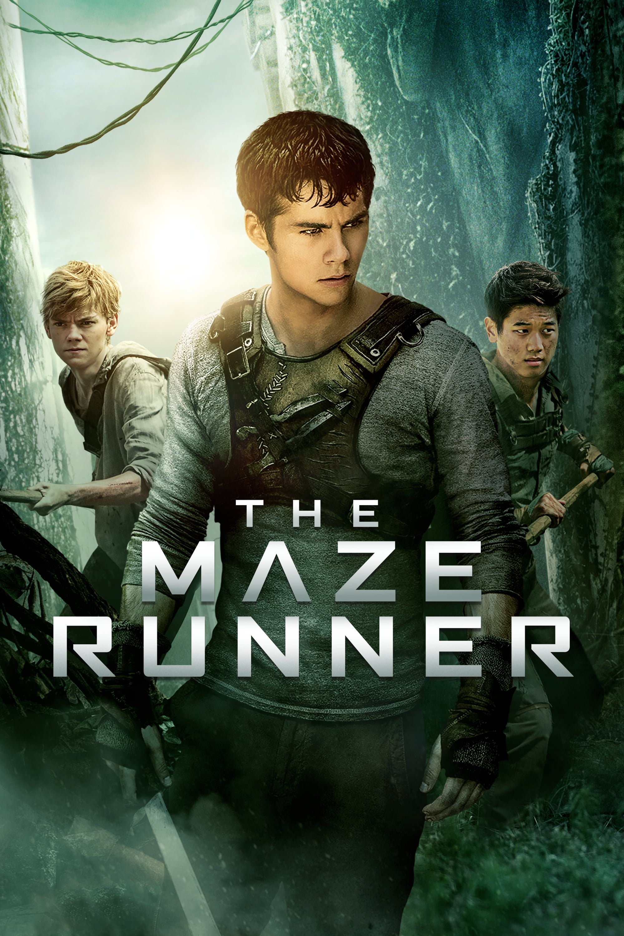 Immagine Maze Runner - Il labirinto - Poster - Sfondi