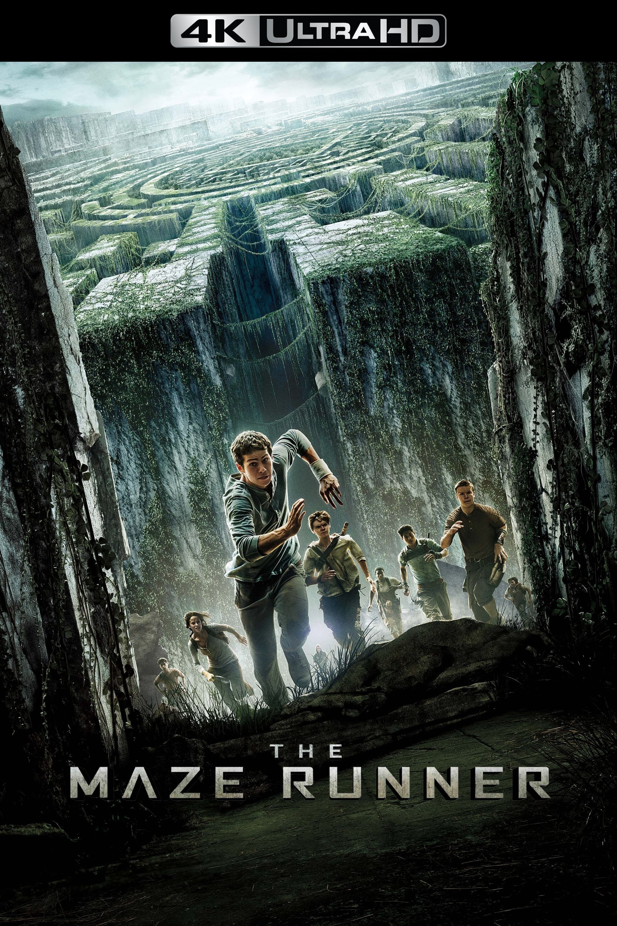 Immagine Maze Runner - Il labirinto - Poster - Sfondi