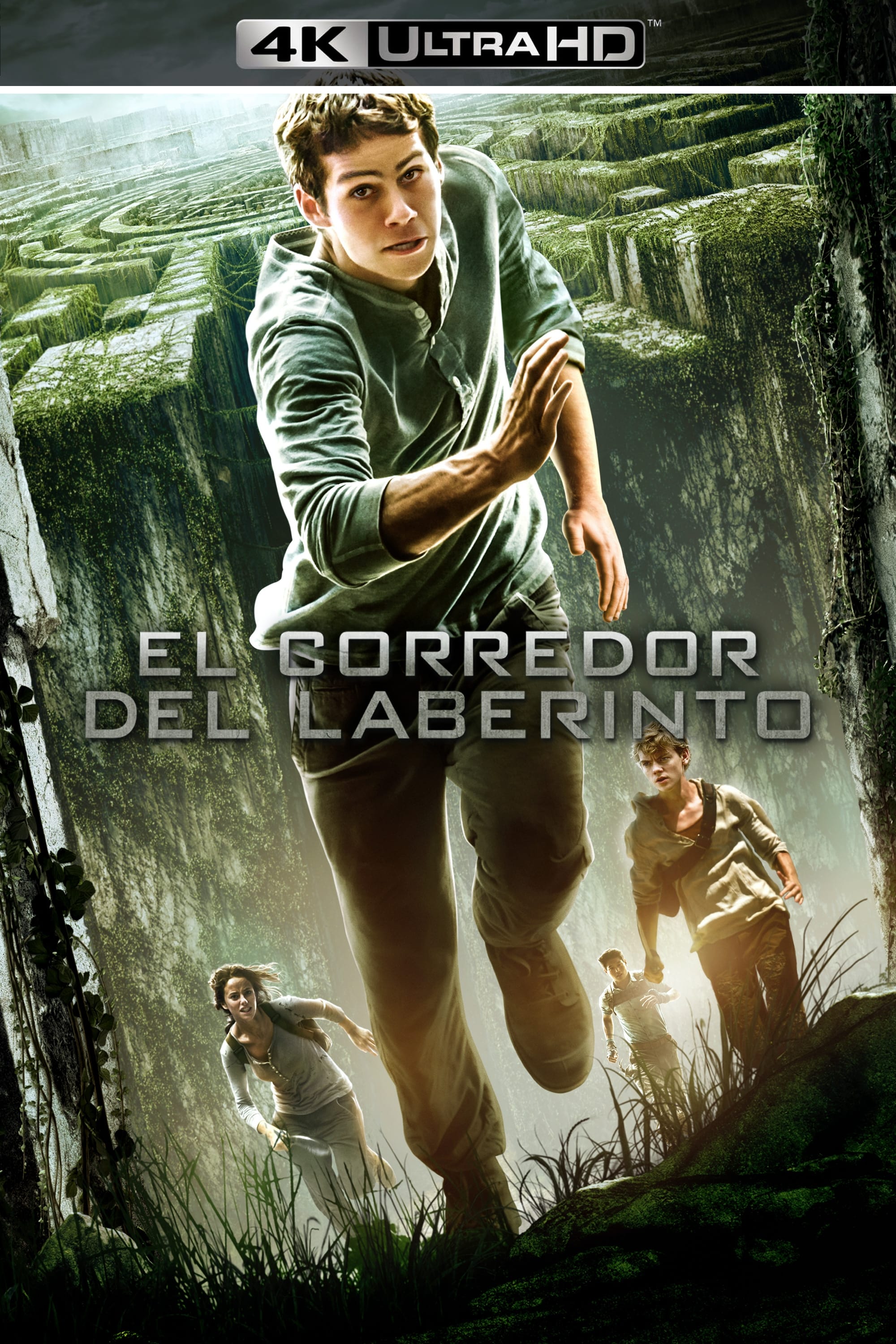 Immagine Maze Runner - Il labirinto - Poster - Sfondi