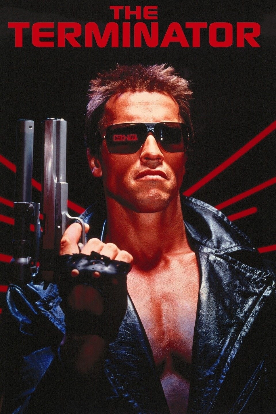 Immagine Terminator - Poster - Sfondi