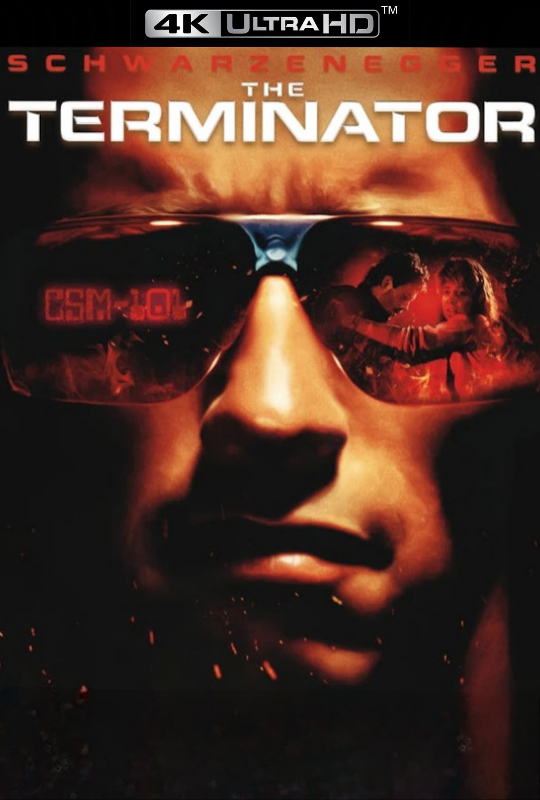 Immagine Terminator - Poster - Sfondi