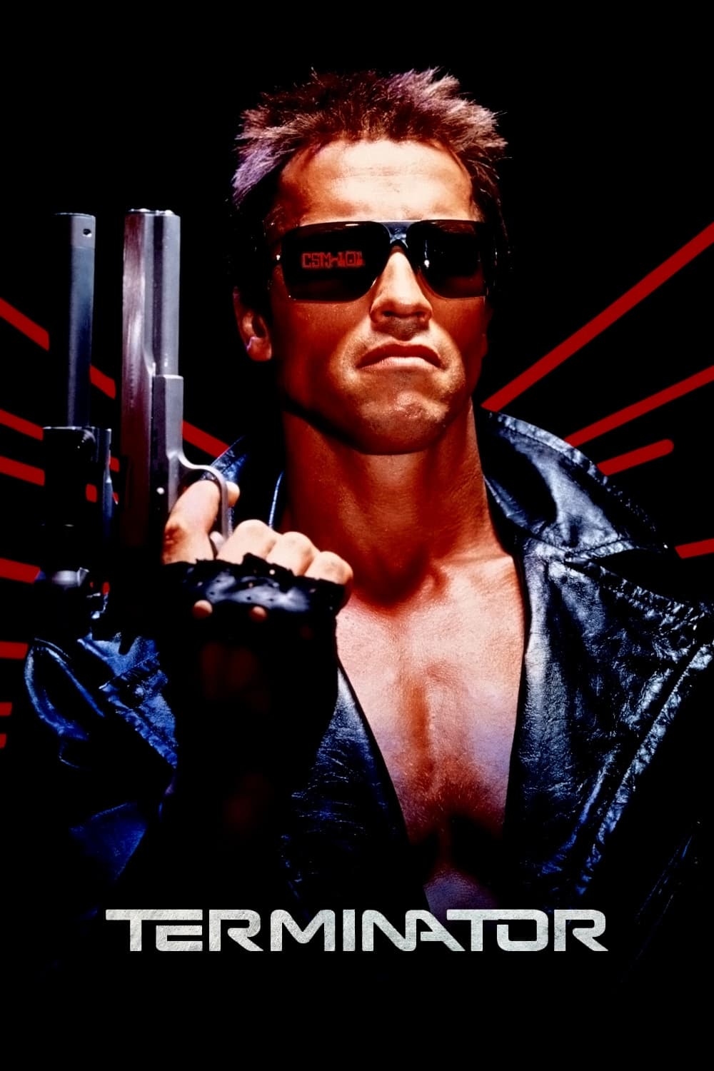Immagine Terminator - Poster - Sfondi