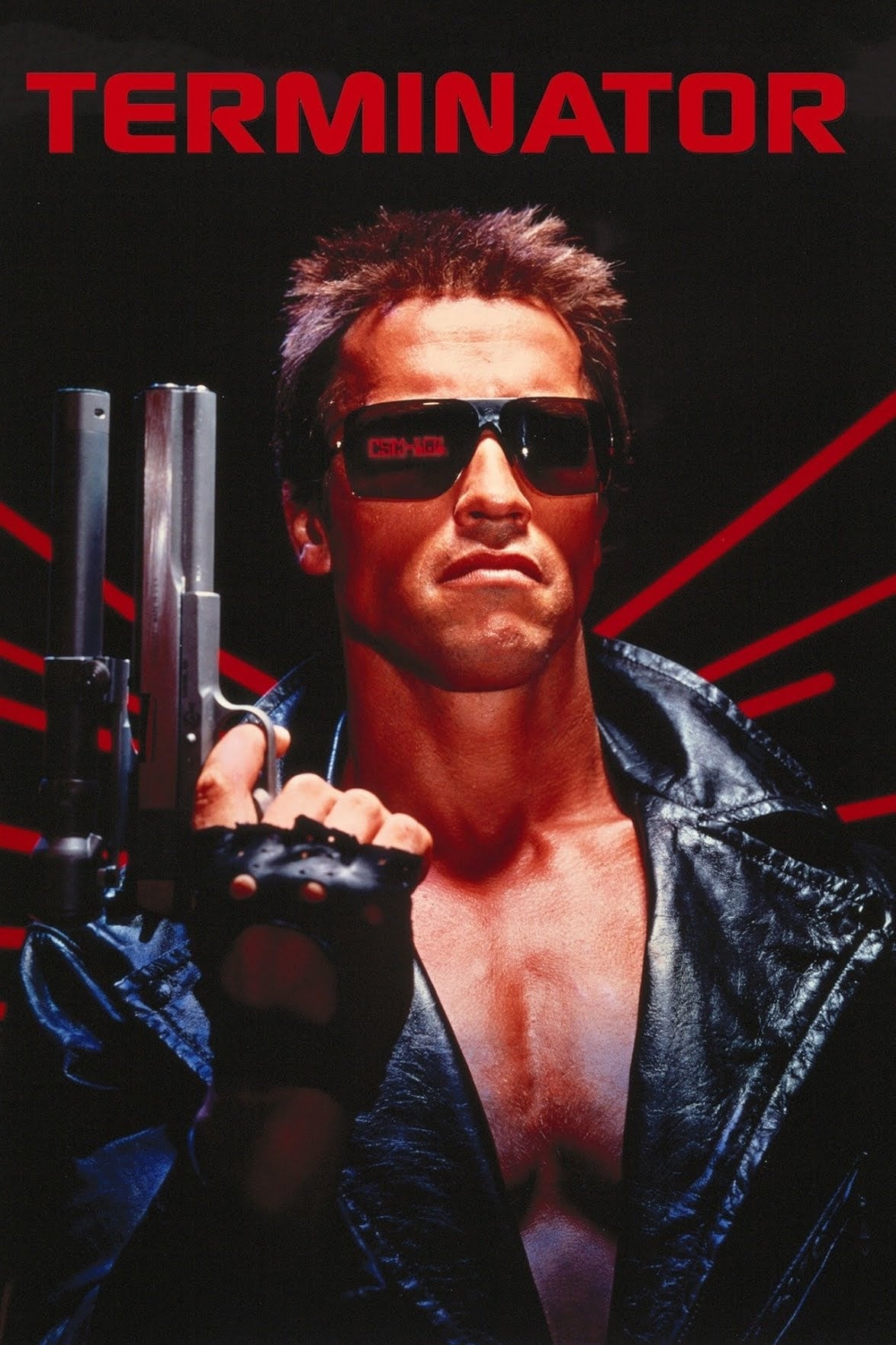 Immagine Terminator - Poster - Sfondi