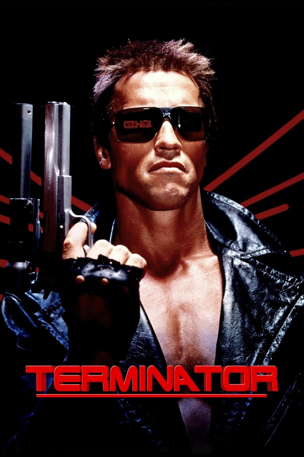 Immagine Terminator - Poster - Sfondi