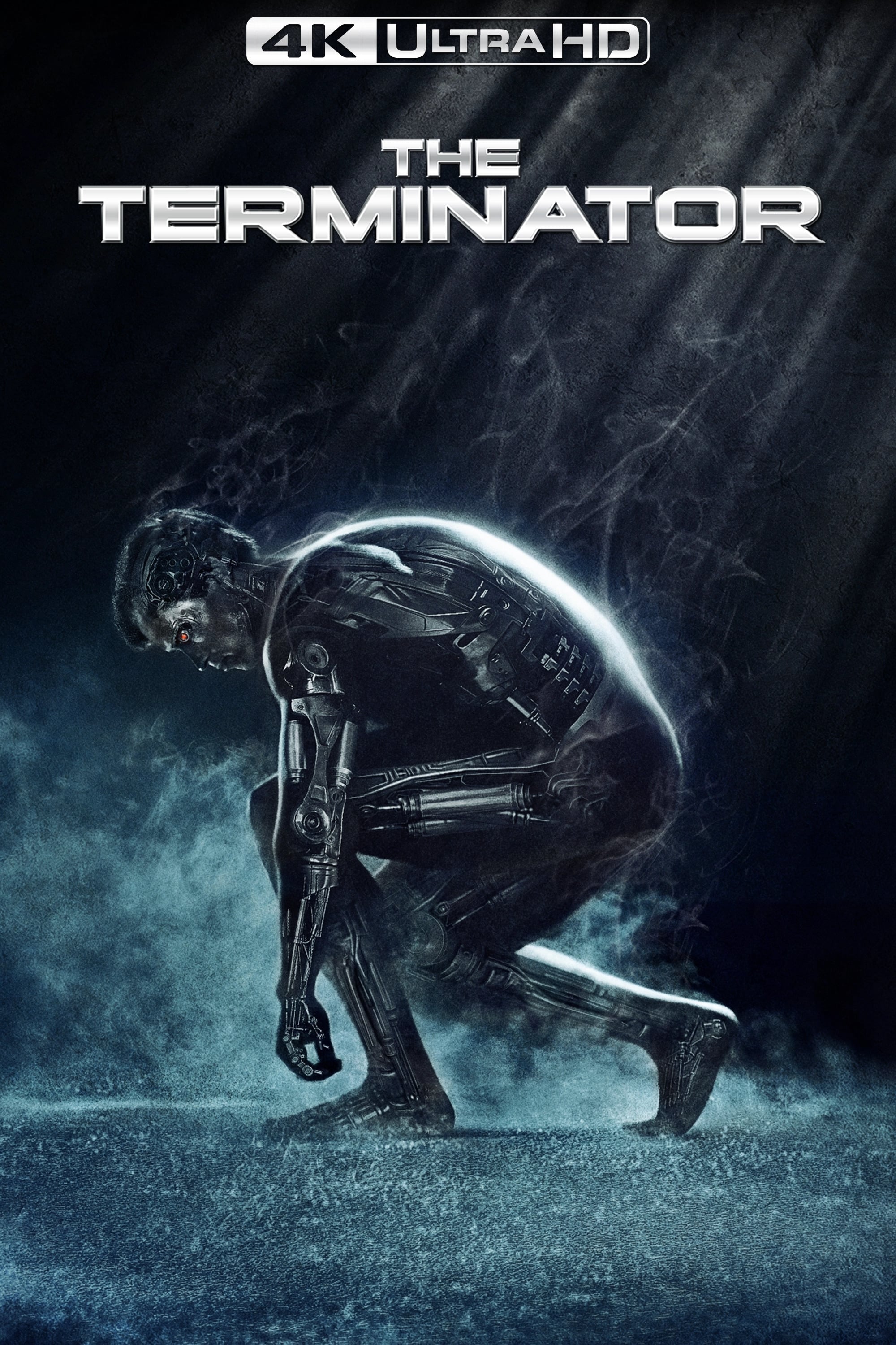 Immagine Terminator - Poster - Sfondi
