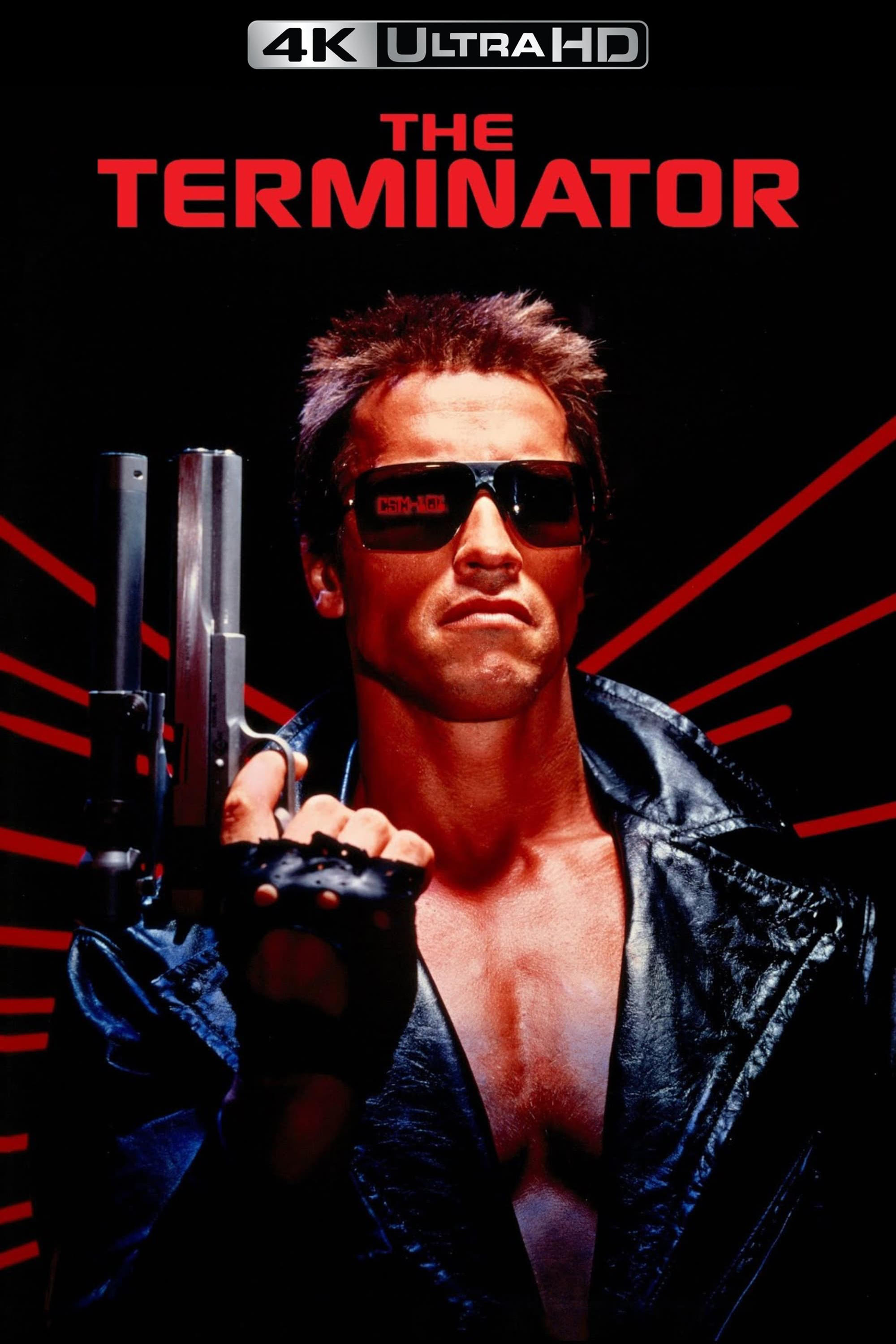Immagine Terminator - Poster - Sfondi