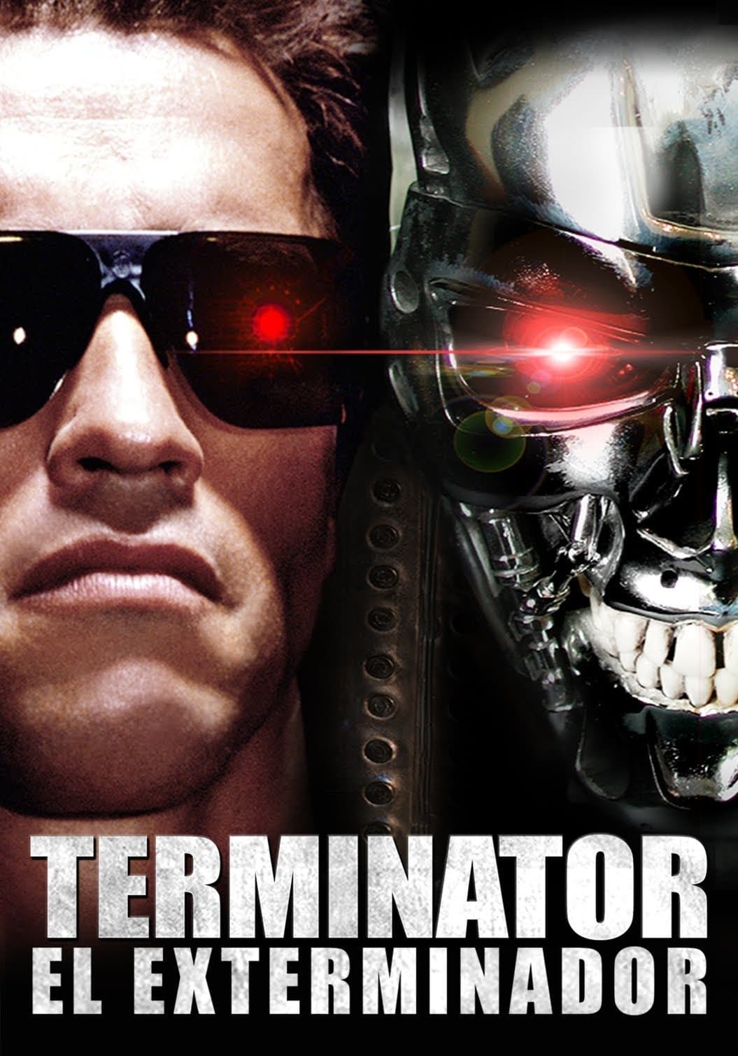 Immagine Terminator - Poster - Sfondi