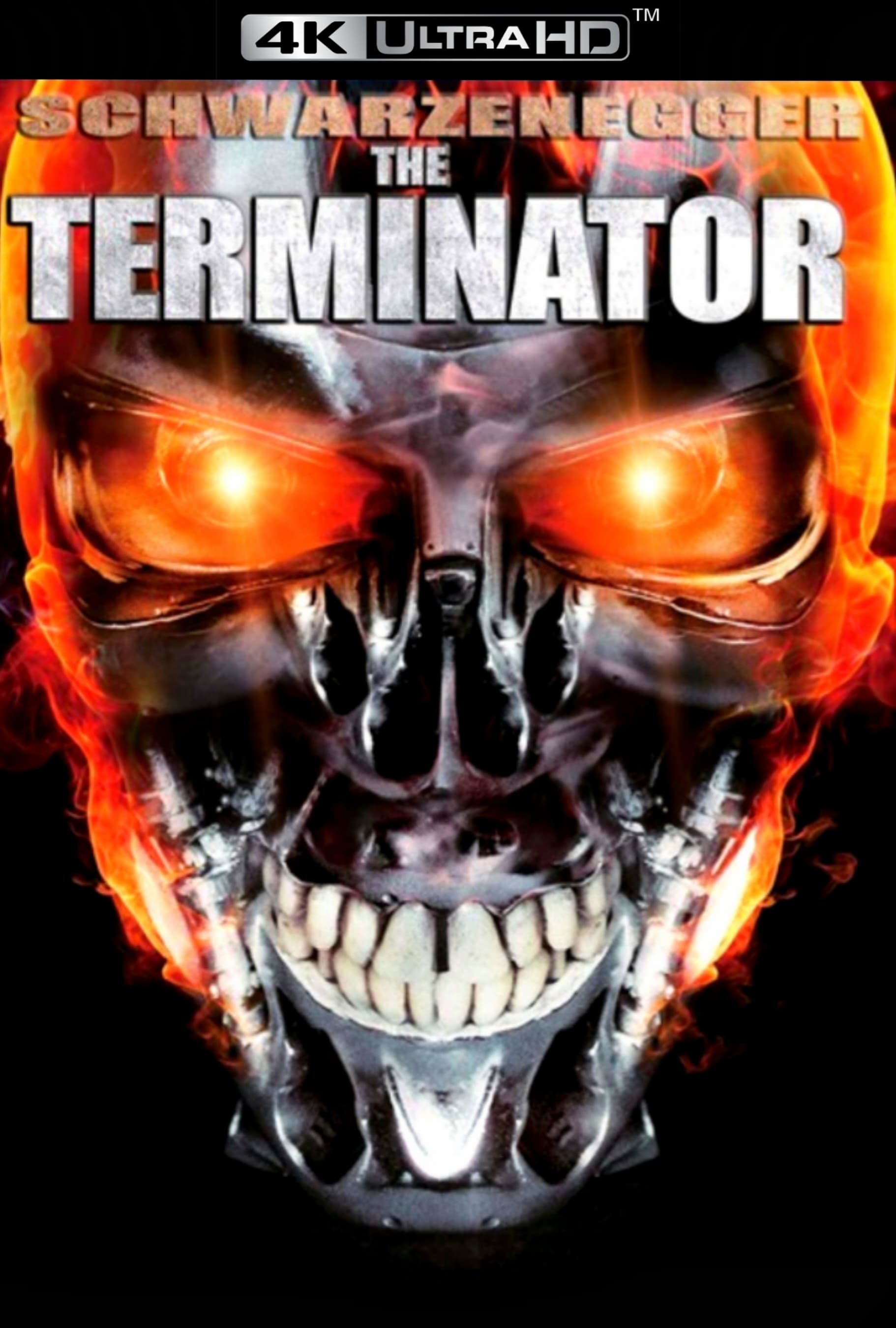 Immagine Terminator - Poster - Sfondi